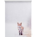LICHTBLICK ORIGINAL Seitenzugrollo »Klemmfix Motiv Fuchs im Schnee«, Lichtschutz, ohne Bohren, freihängend, bedruckt