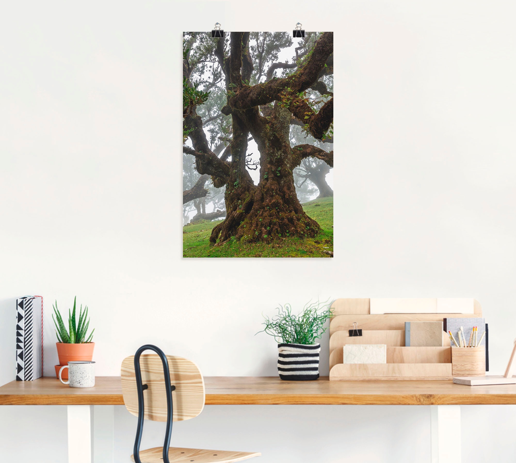 Artland Wandbild "Alter Lorbeerbaum", Bäume, (1 St.), als Leinwandbild, Pos günstig online kaufen