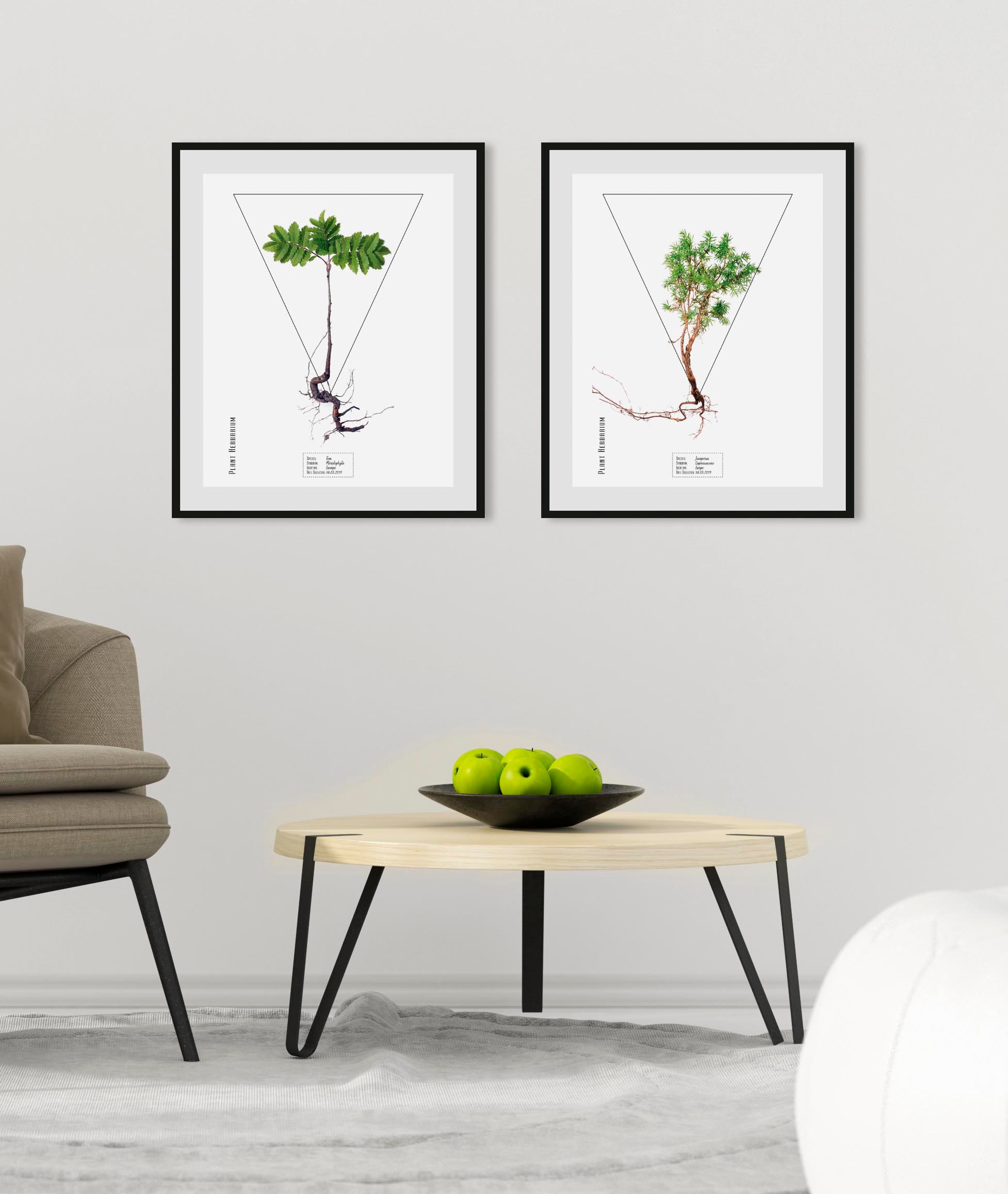 queence Bild »Juniperus«, Pflanzen-Pflanzenbilder-Schriftzug, (1 St.), HD P günstig online kaufen