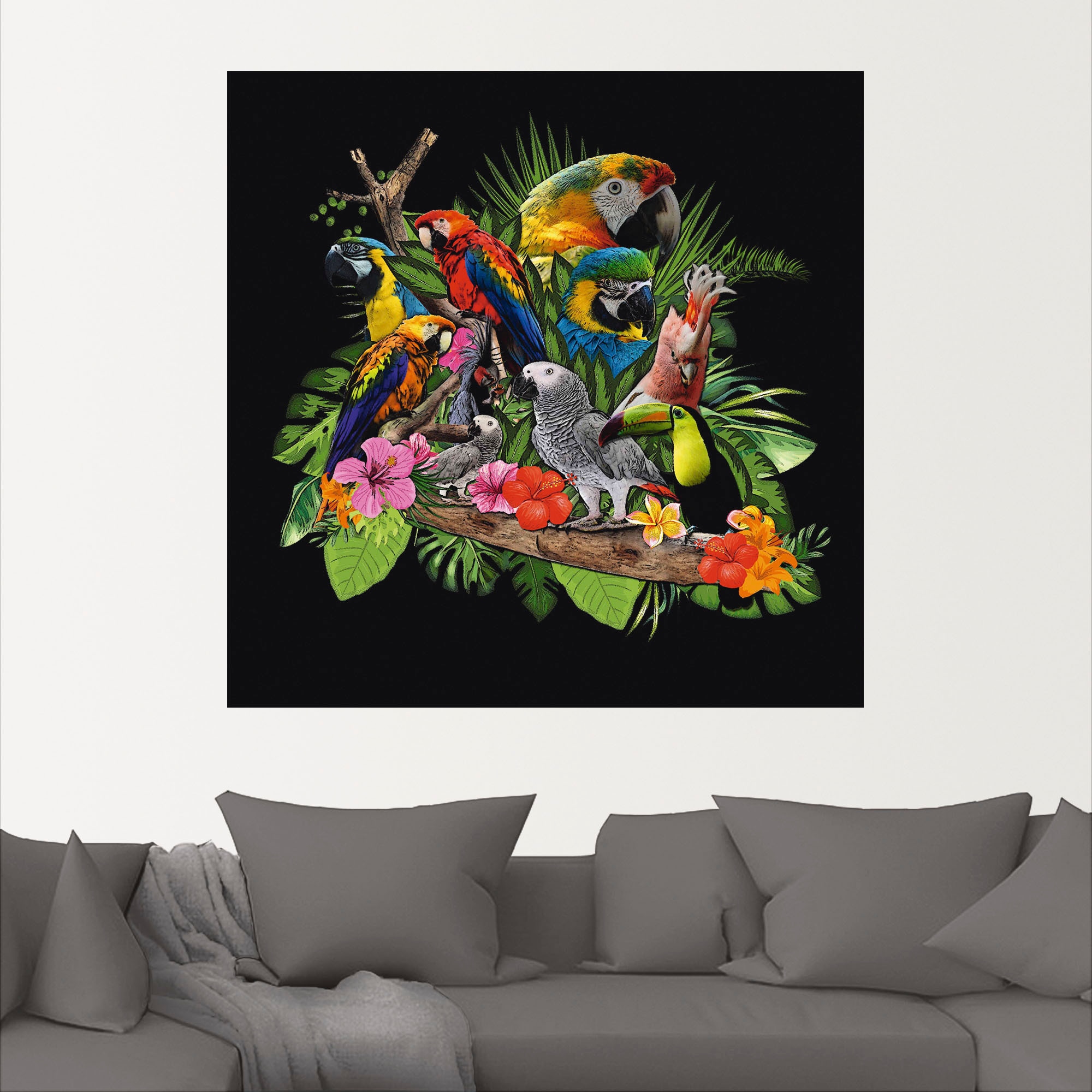 Artland Wandbild »Papageien Graupapagei Kakadu Dschungel«, Vögel, (1 St.), als Alubild, Outdoorbild, Leinwandbild, Poster, Wandaufkleber