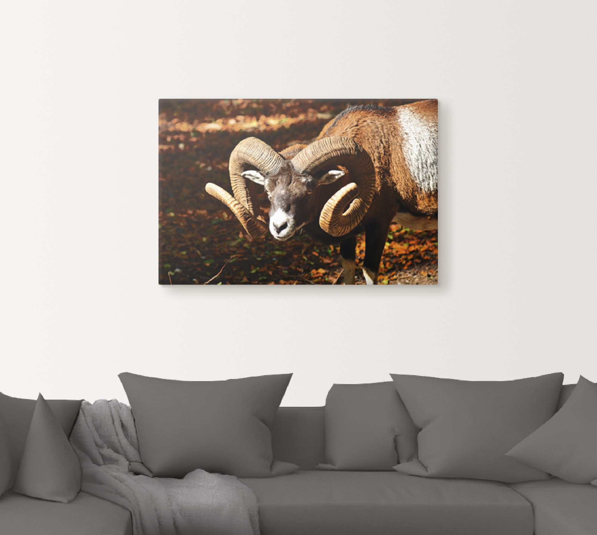 Artland Leinwandbild »Mufflon«, Wildtiere, (1 St.), auf Keilrahmen gespannt