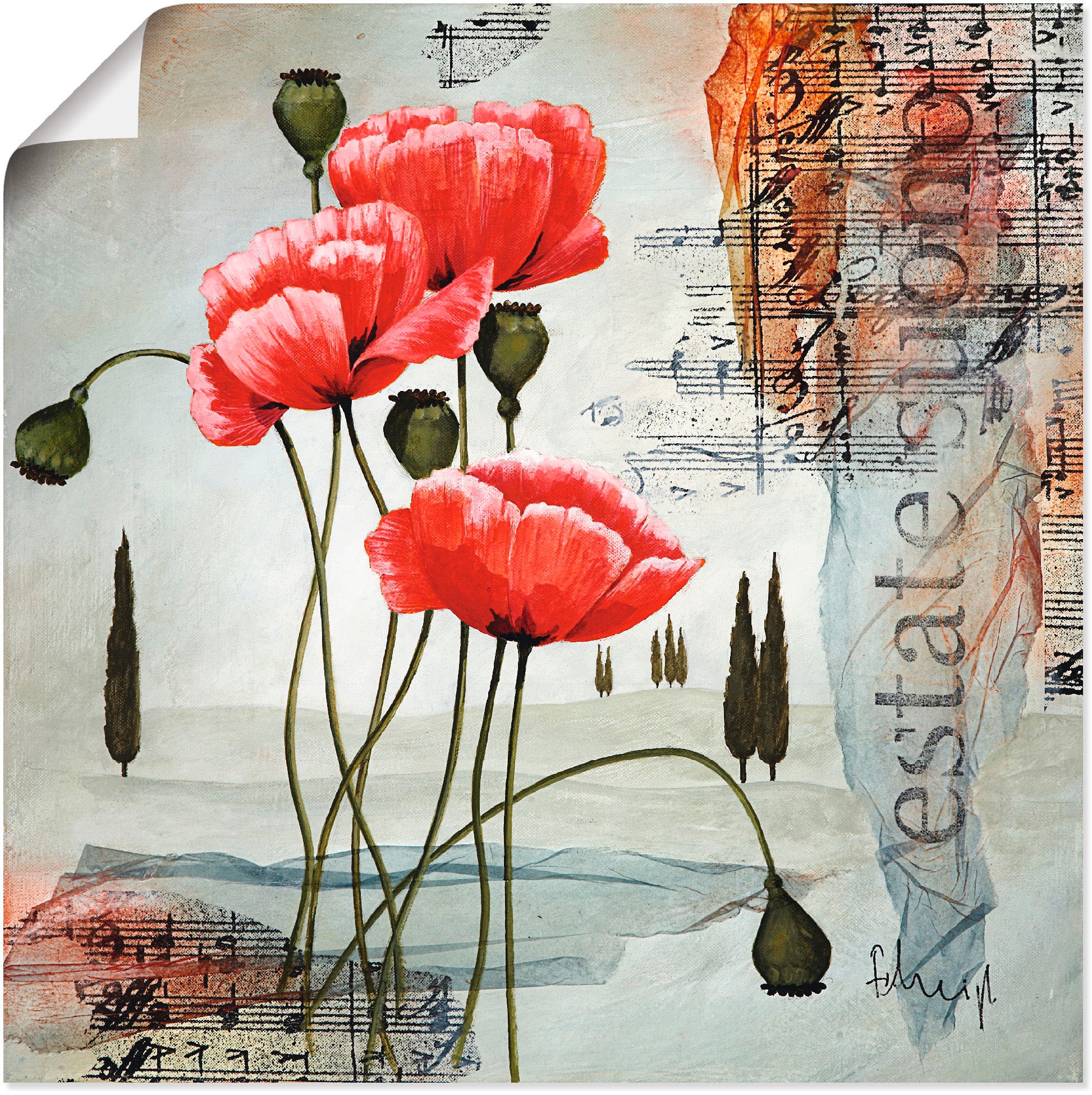 Artland Wandbild »Klatschmohn«, Blumen, (1 St.), als Leinwandbild, Poster, Wandaufkleber in verschied. Größen