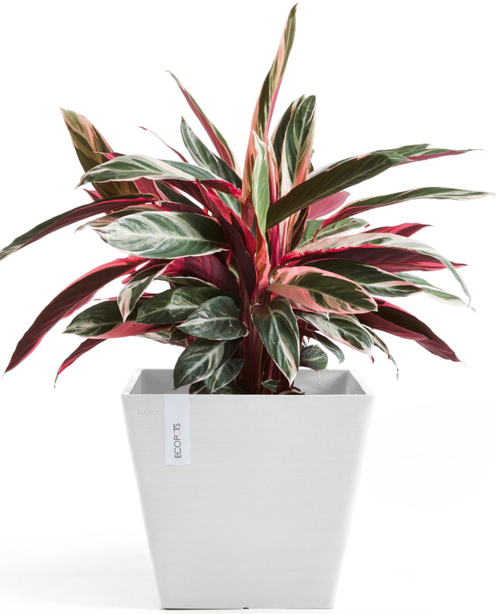ECOPOTS Blumentopf »Rotterdam 30 Weiß«, für innen und außen: frostsicher, bruchsicher und lichtbeständig