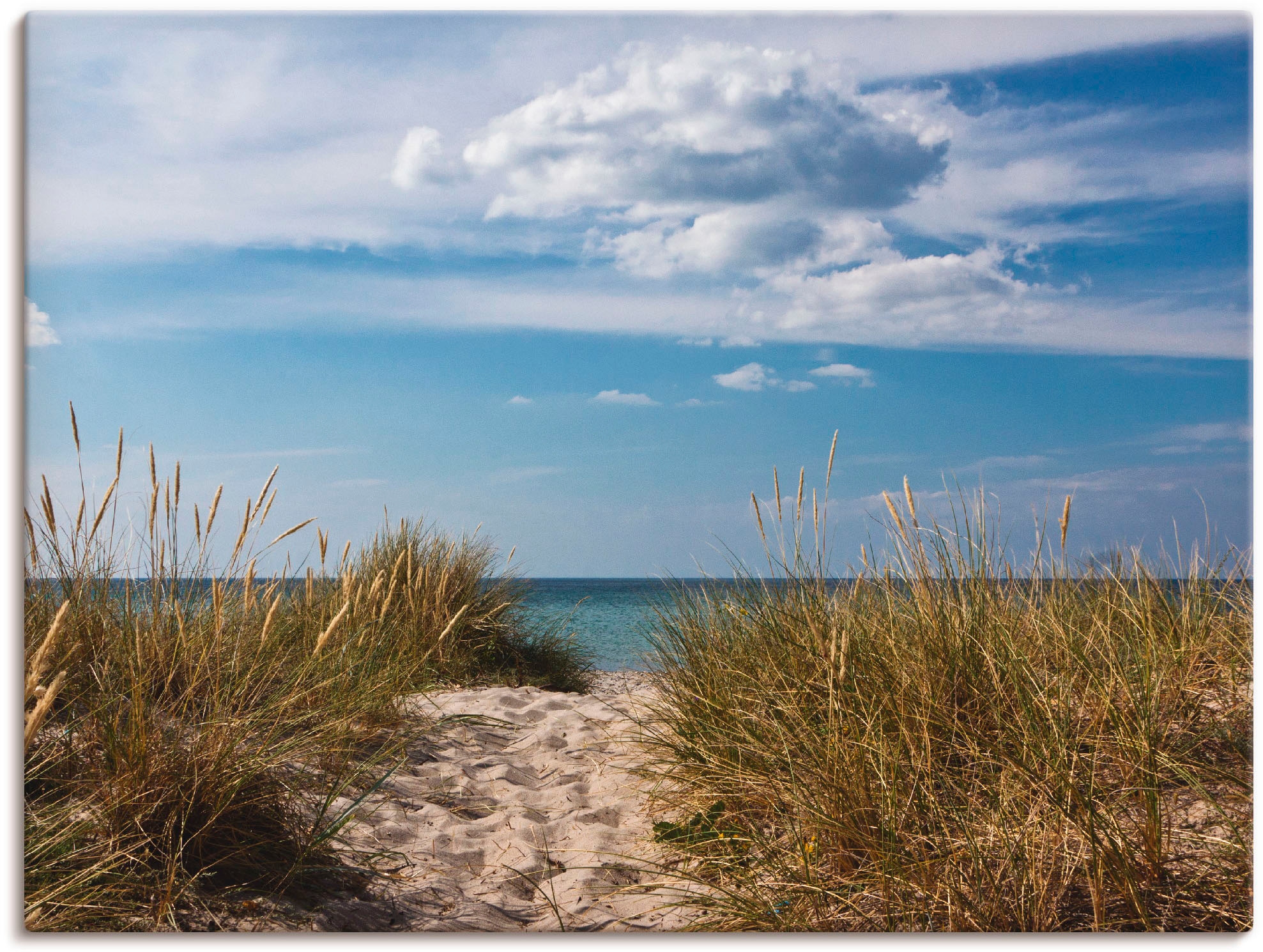 Artland Wandbild »Ostseestrand in Dänemark«, Strand, (1 St.), als Leinwandb günstig online kaufen