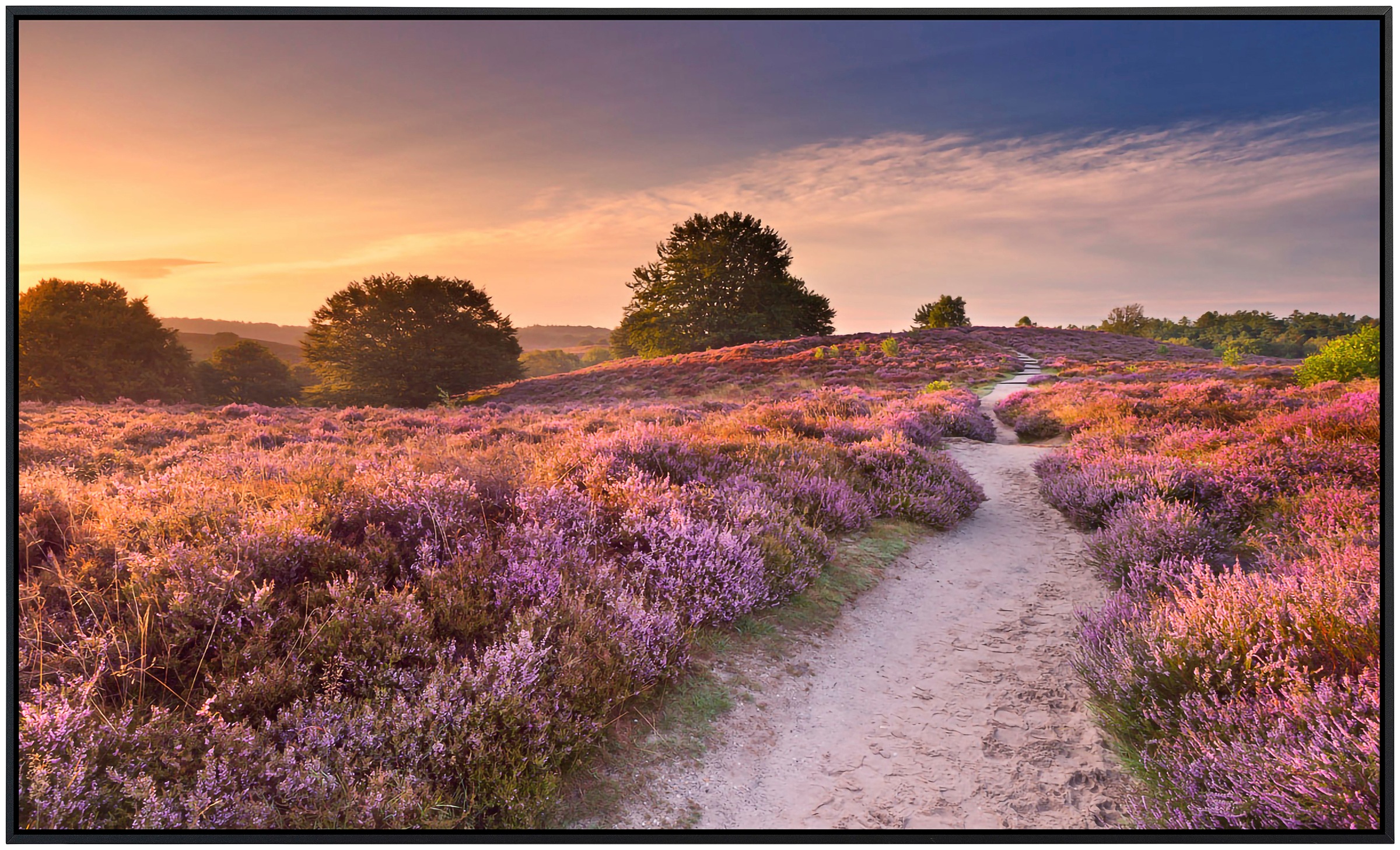 Papermoon Infrarotheizung »Blühende Heide bei Sonnenaufgang«, sehr angenehm günstig online kaufen