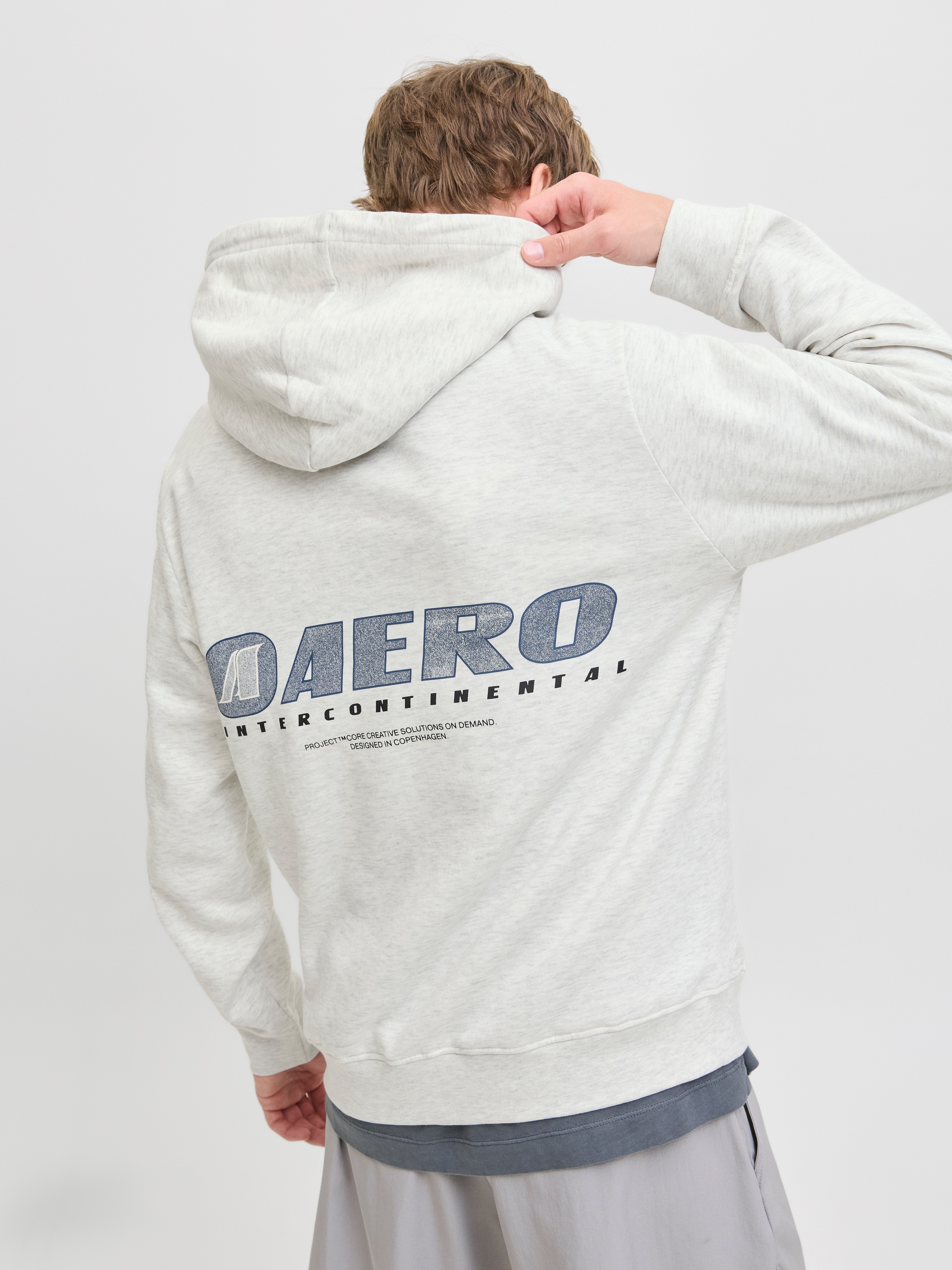 Jack & Jones Kapuzensweatshirt »JCOTIER PRINT SWEAT HOOD«
