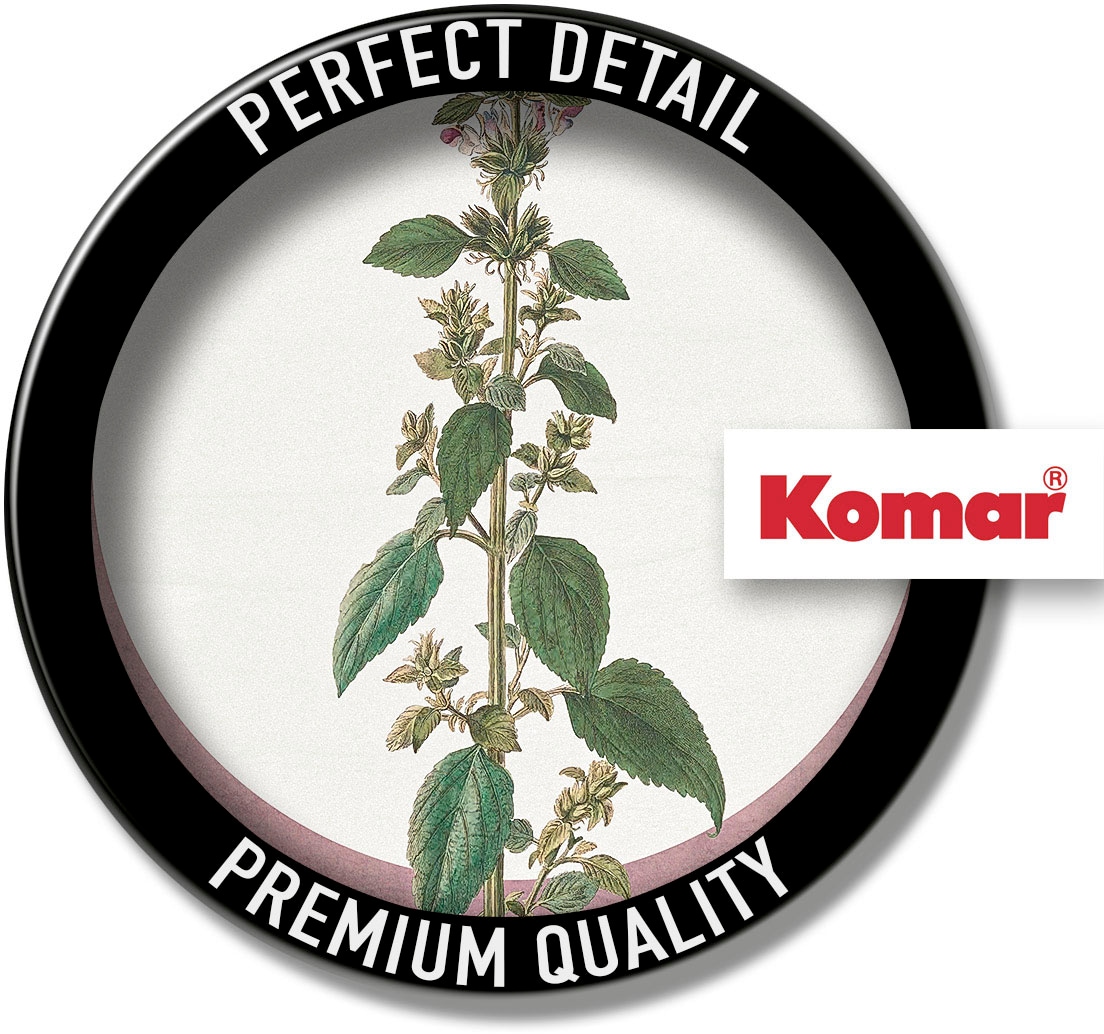 Komar Bild »Menthe en Croissance« Natur 1 Stk. tlg. Wandbild zur Dekoration - ohne Rahmen