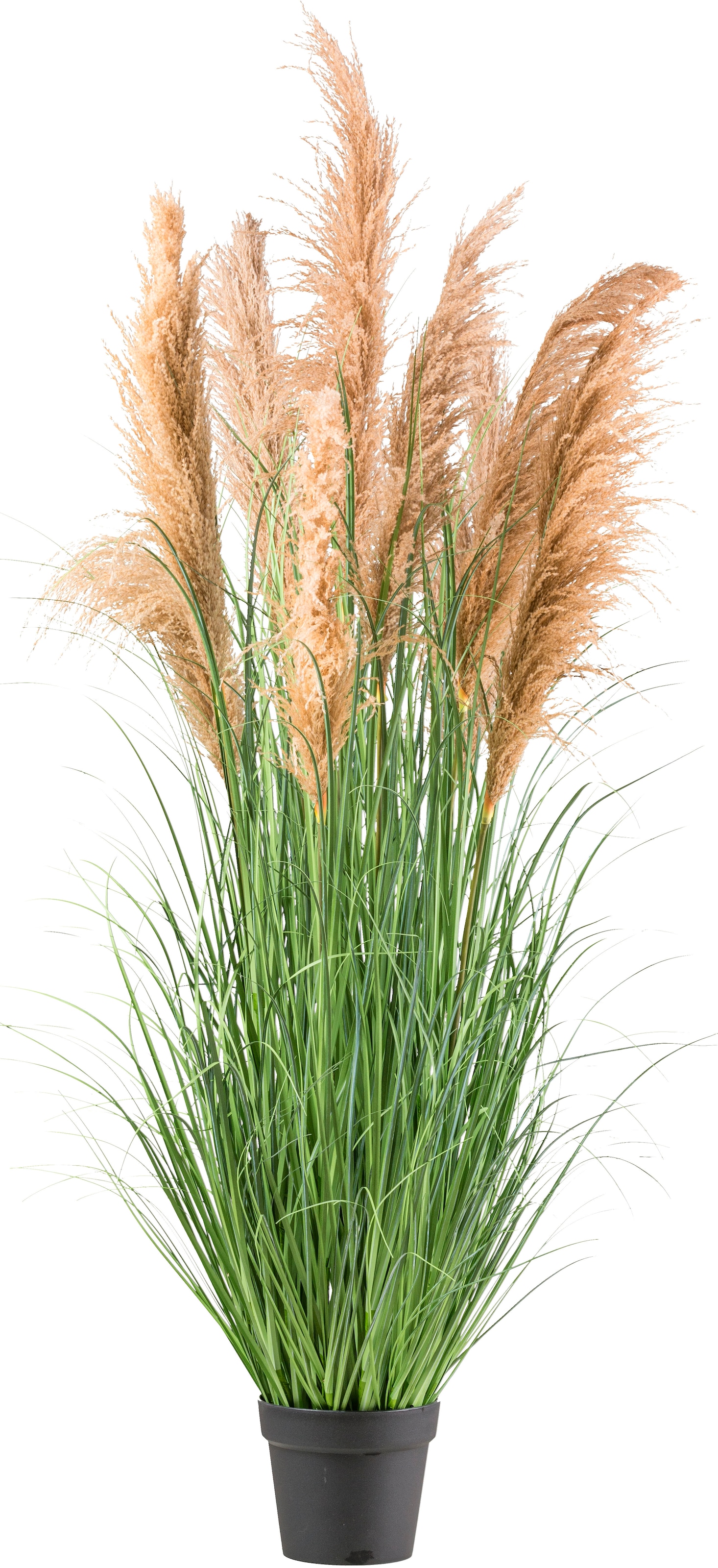 Creativ green Kunstgras "Schilfgras" mit täuschend echten Blüten günstig online kaufen