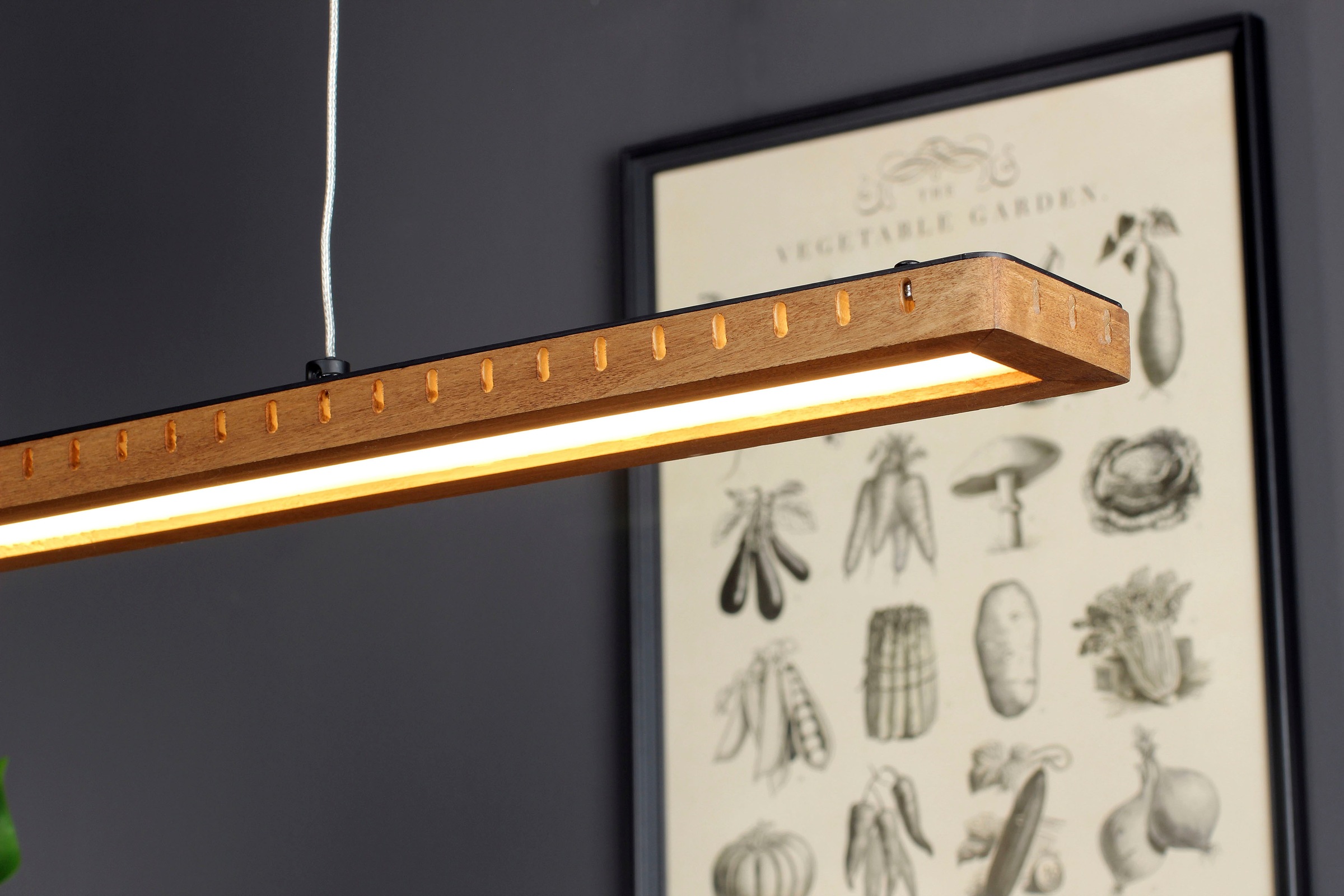 ECO-LIGHT LED Pendelleuchte »Solaris«, Leuchtmittel LED-Modul | LED fest integriert