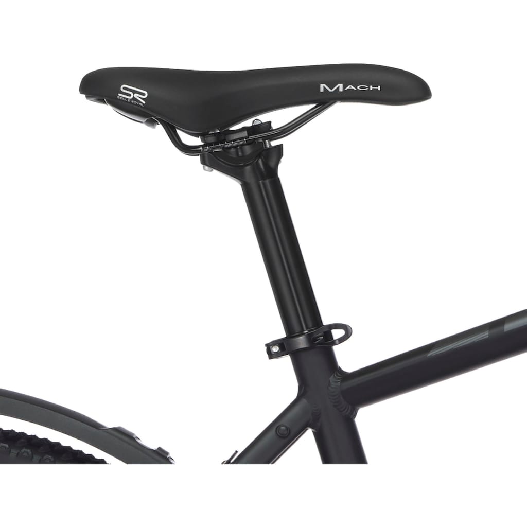 FISCHER Fahrrad E-Bike »TERRA 2.1 422«, 8 Gang