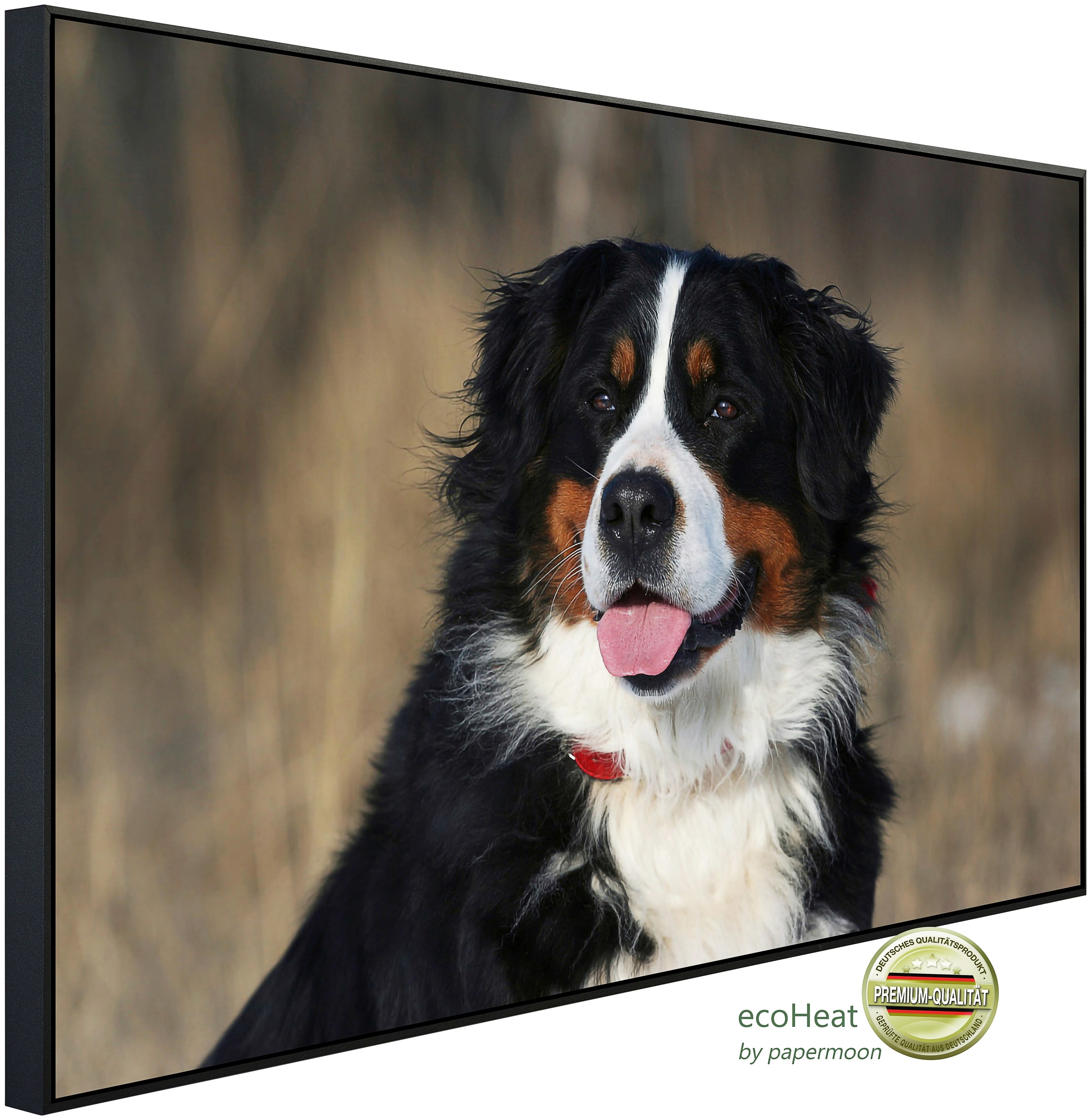 Papermoon Infrarotheizung »Hund, Berner Sennenhund«, sehr angenehme Strahlu günstig online kaufen
