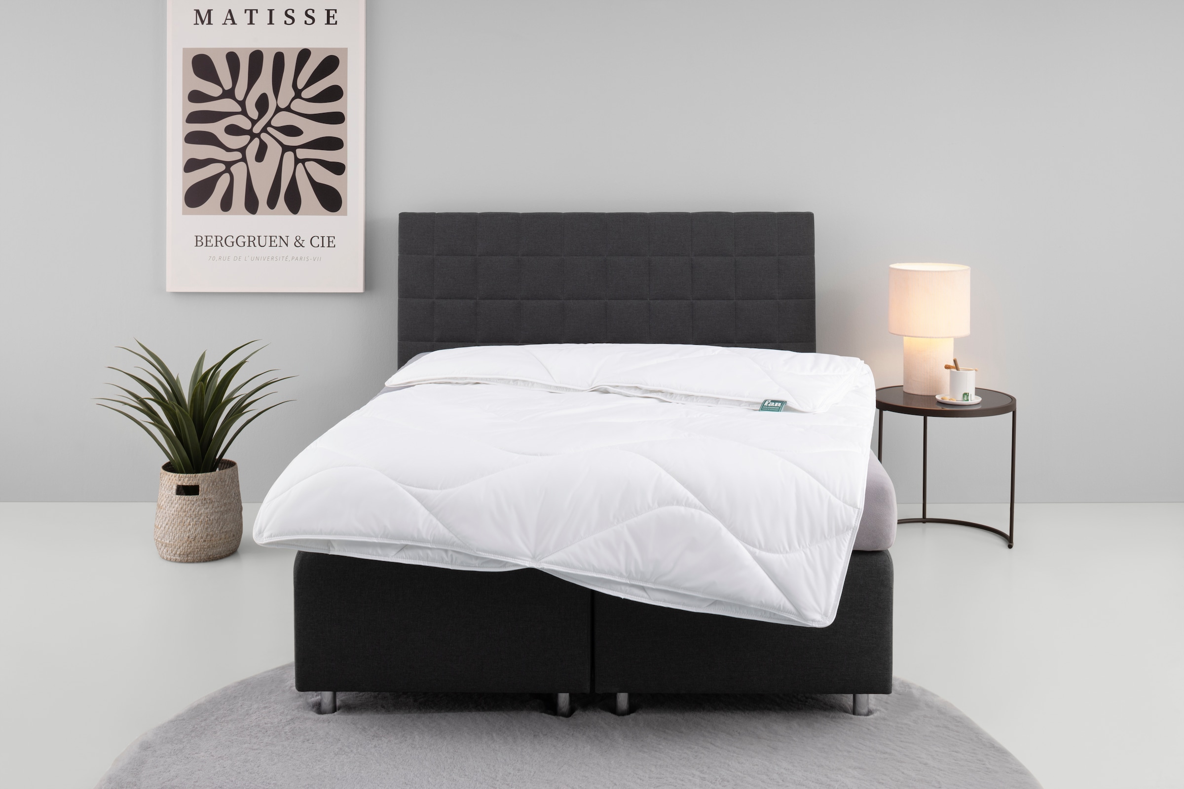 fan Microfaserbettdecke »Microfaser kochfest, Bettdecken für Sommer und Winter, Decke«, 4-Jahreszeiten, Füllung 100% Polyester, Bezug 100% Polyester, (1 St.), Bettdecke 135x200 cm, 155x220 cm und weitere Größen, Made in Germany