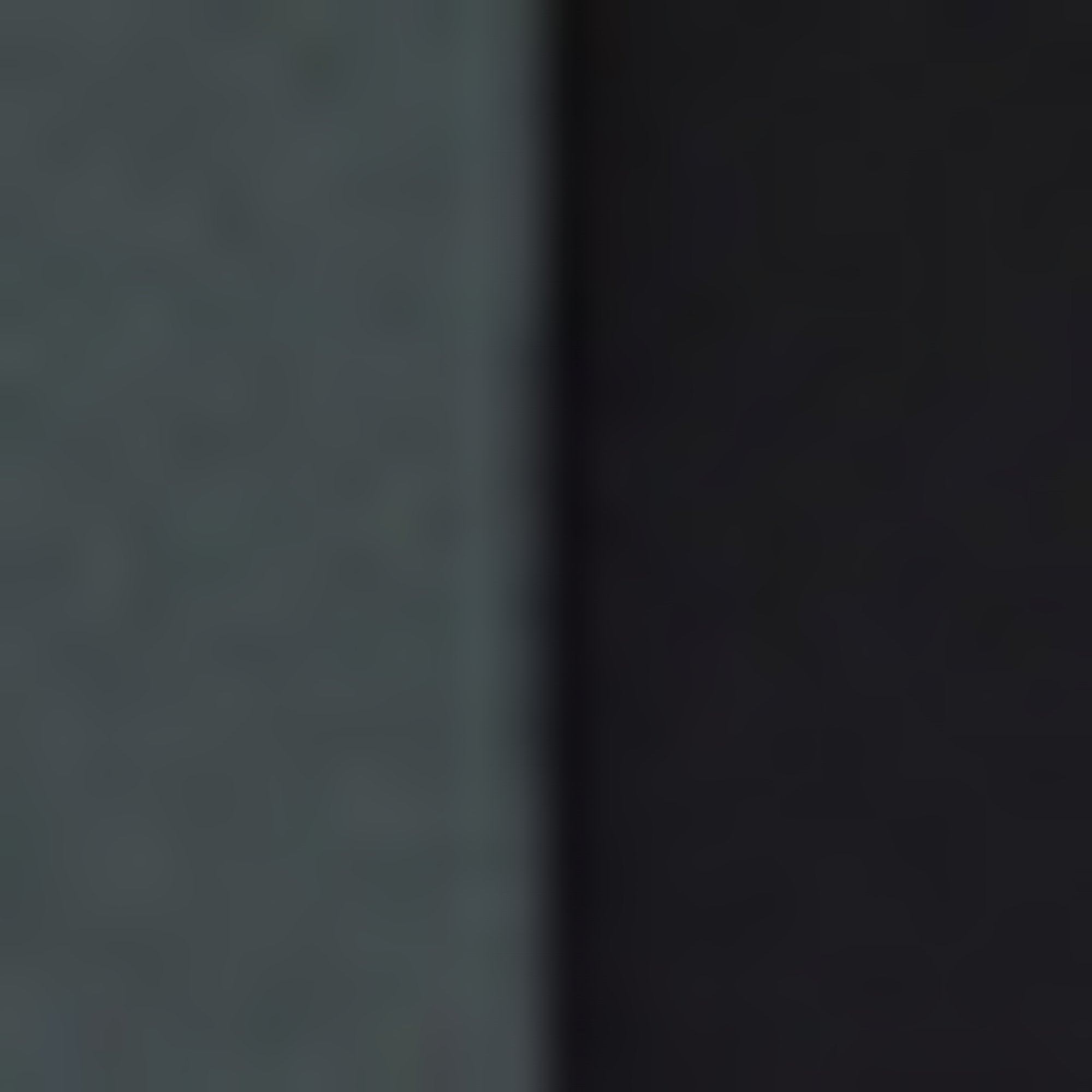 BOSS »2P RS Uni CC« Packung, 2er, 2 Paar tlg. mit Markenlogo