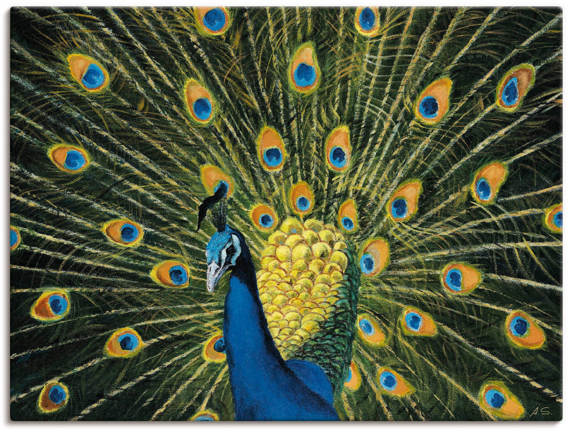 Artland Wandbild »Pfau«, Vögel, (1 St.), als Alubild, Outdoorbild, Leinwand günstig online kaufen