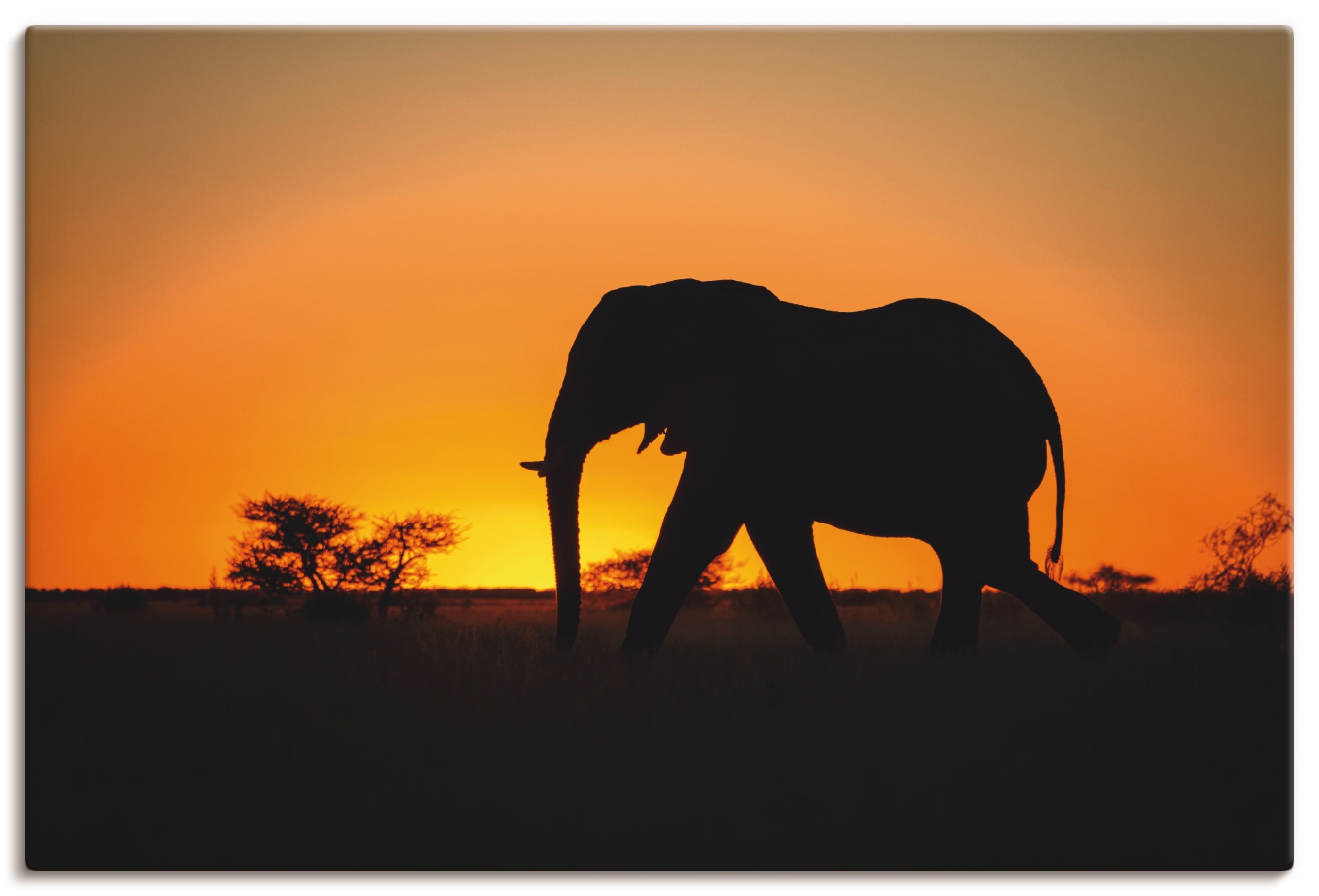 Artland Leinwandbild »Afrikanischer Elefant im Sonnenuntergang«, Wildtiere, (1 St.), auf Keilrahmen gespannt