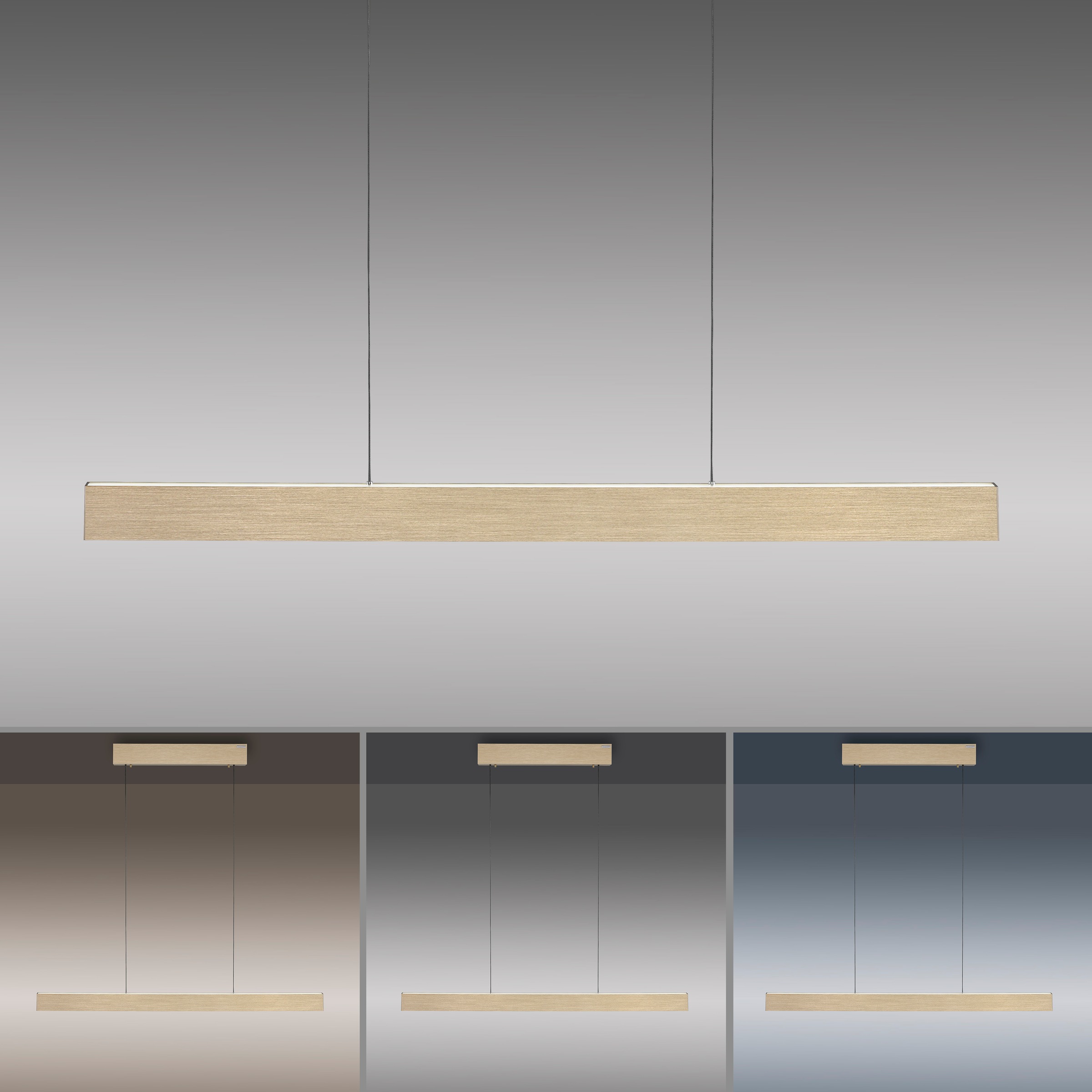 Neuhaus PURE LED Pendelleuchte »PURE E-Motion« LED-Board 1 Stk. warmweiß - kaltweiß e-LIFT® Funktion, CCT, dimmbar, Up-&Downlight