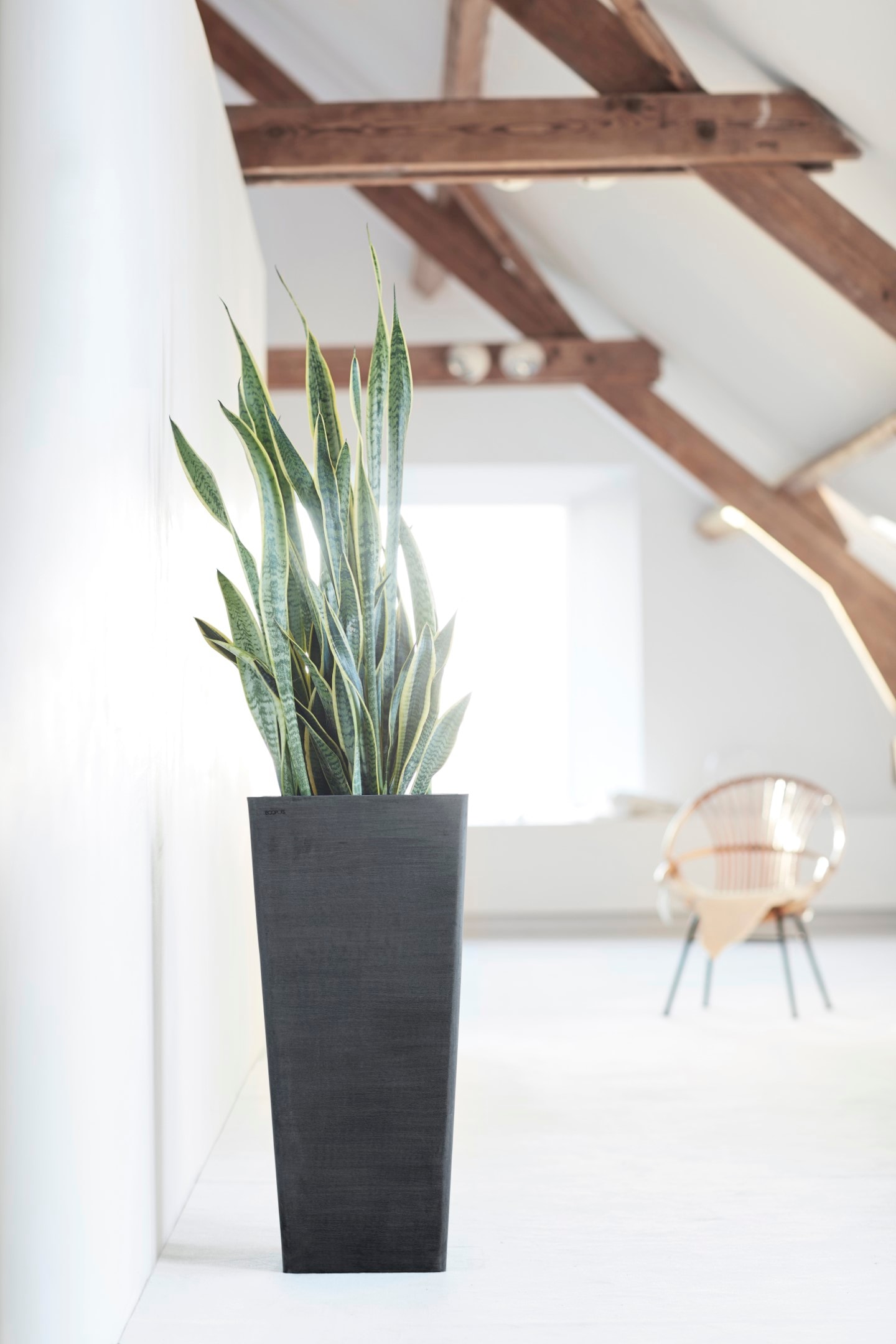 ECOPOTS Blumentopf »ROTTERDAM HIGH Dark Grey«, BxTxH: 32x32x70 cm