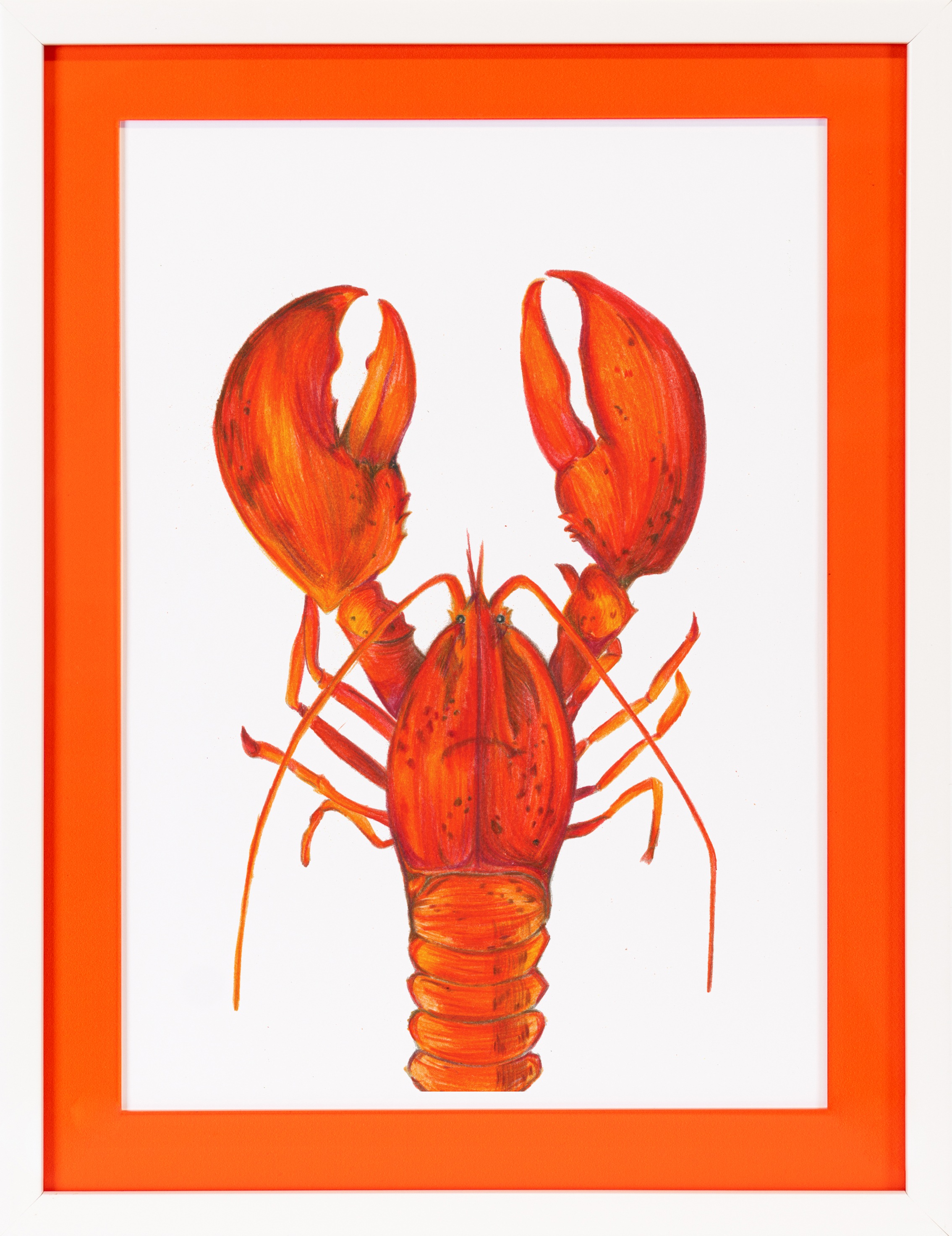queence Bild mit Rahmen »Hummer, Tier« Fisch & Meeresfrüchte 1 Stk. tlg. Po günstig online kaufen