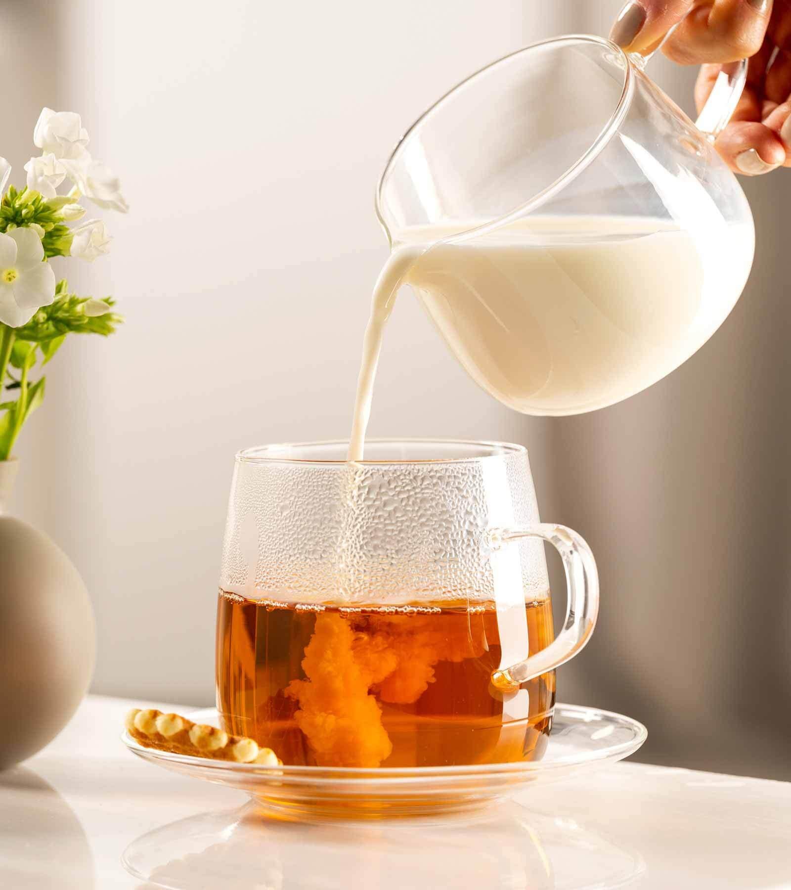LEONARDO Untertasse »Teeuntertassen Tè Per Te ø 15 cm 6er Set transparent«