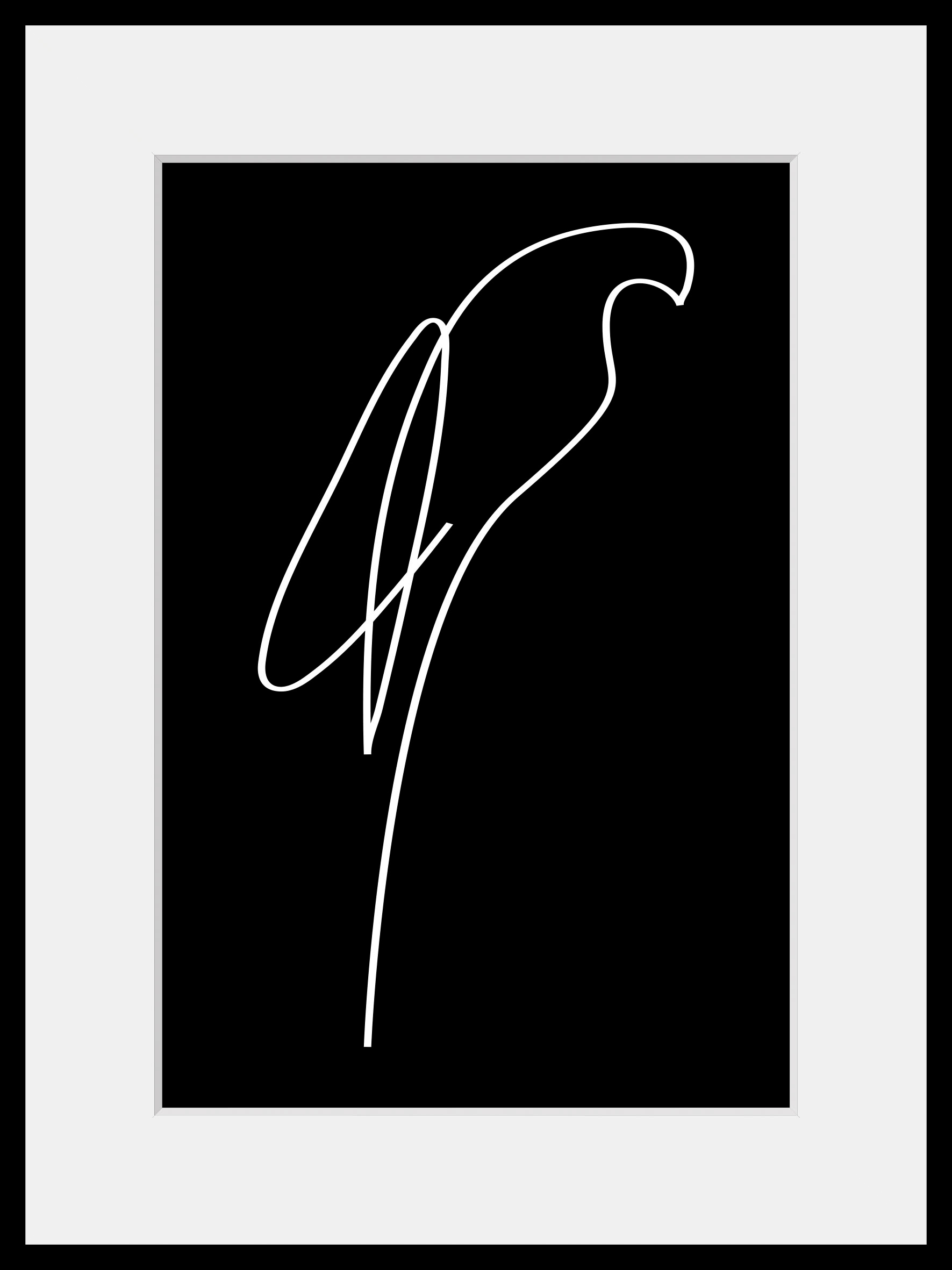 queence Bild »Julian«, Schwarz-Weiß-Kunst-Modern-Vögel-Vogelbilder-Papageien, (1 St.), HD Premium Poster-Druck inkl. Holzrahmen