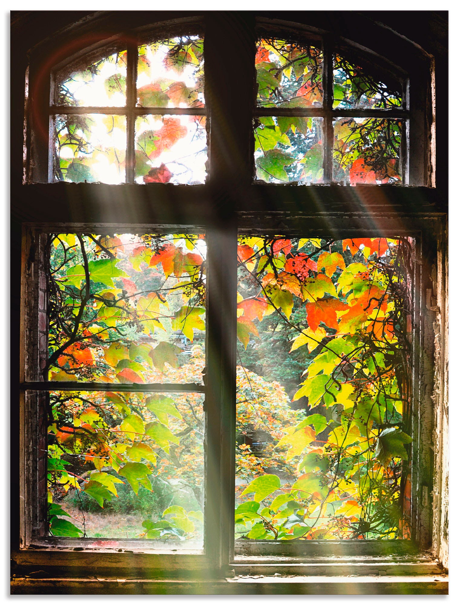 Artland Wandbild »Altbau«, Fenster & Türen, (1 St.), als Alubild, Outdoorbild, Leinwandbild, Poster, Wandaufkleber