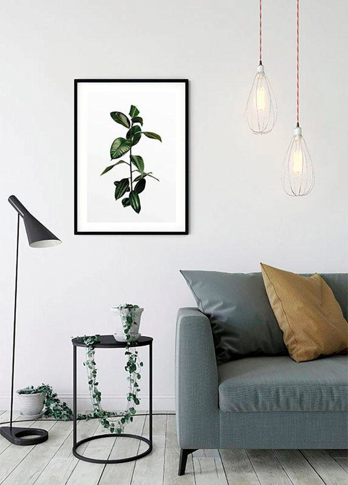 Komar Bild »Ficus Branch«, Pflanzen, (1 St.), Wandbild zur Dekoration - ohne Rahmen