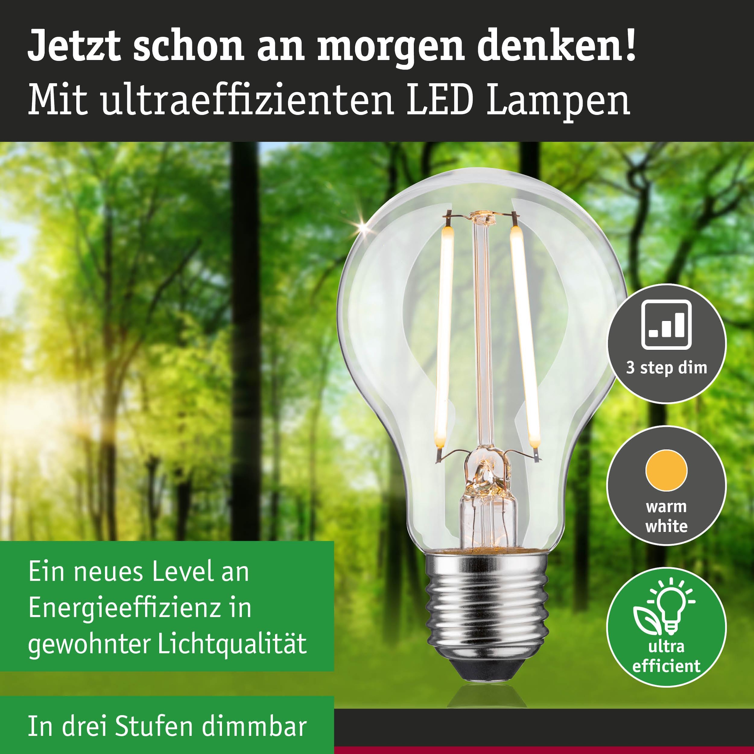 Paulmann LED-Leuchtmittel »Eco-Line AGL 470lm 2,5W 3000K klar 230V« E27 1 Stk. Warmweiß