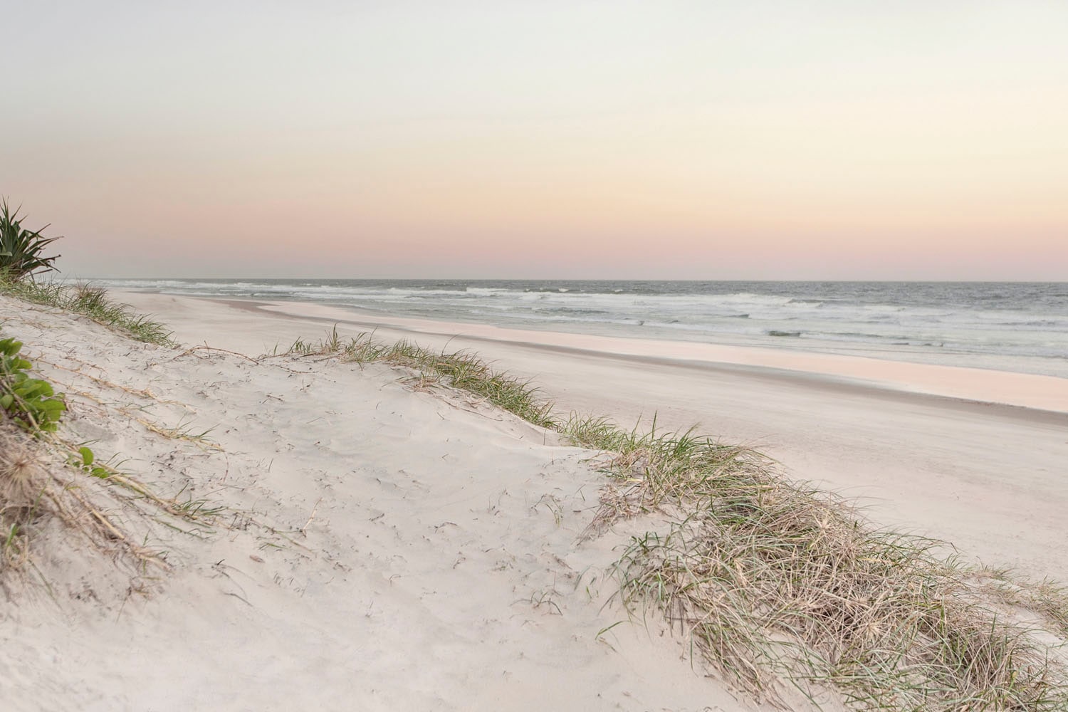 queence Acrylglasbild »Evek« Deutschland   Düne   Gräser   Himmel   Meer günstig online kaufen