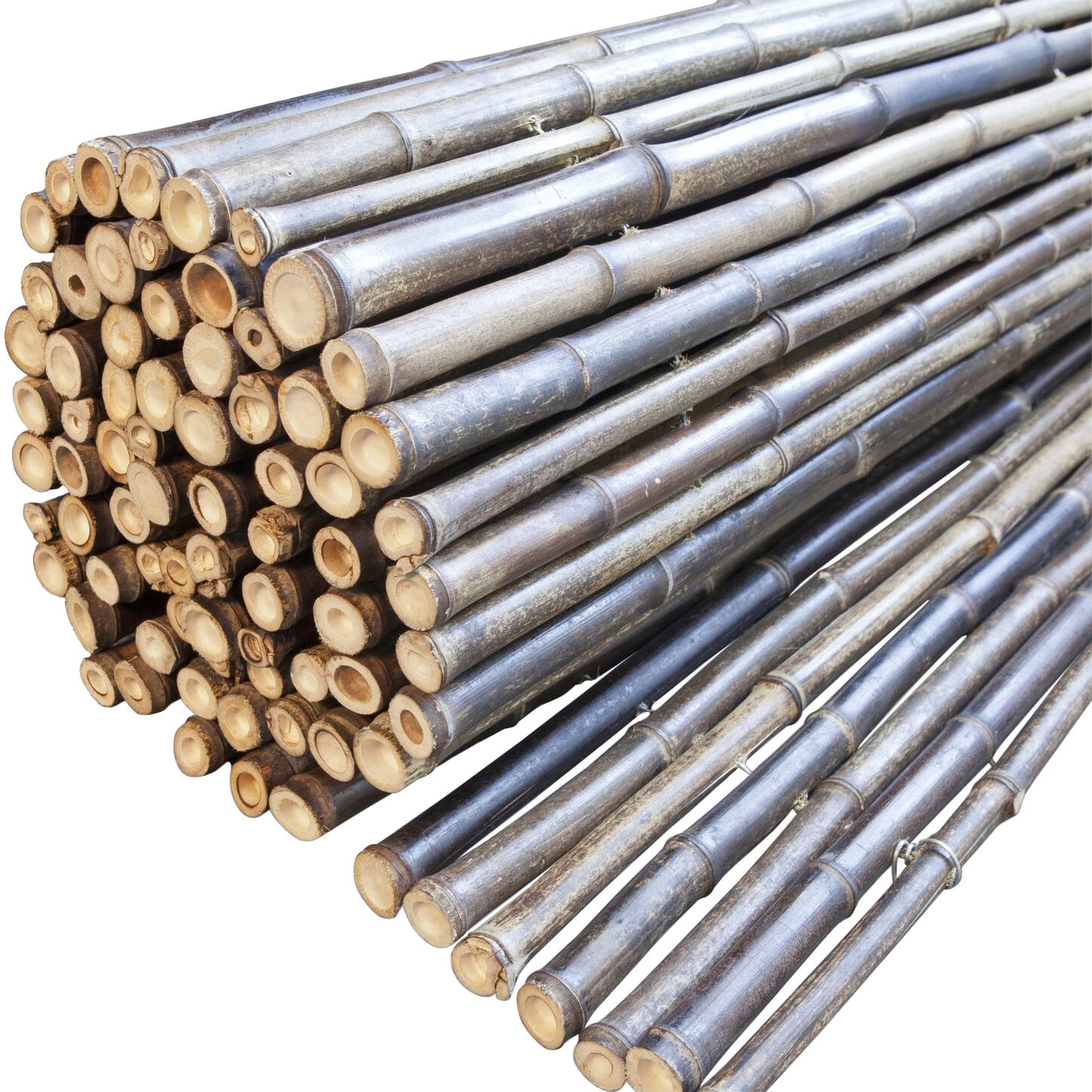 Windhager Sichtschutzzaunmatten, natürlicher Sichtschutz in Premium-Qualität, L: 1,8 m