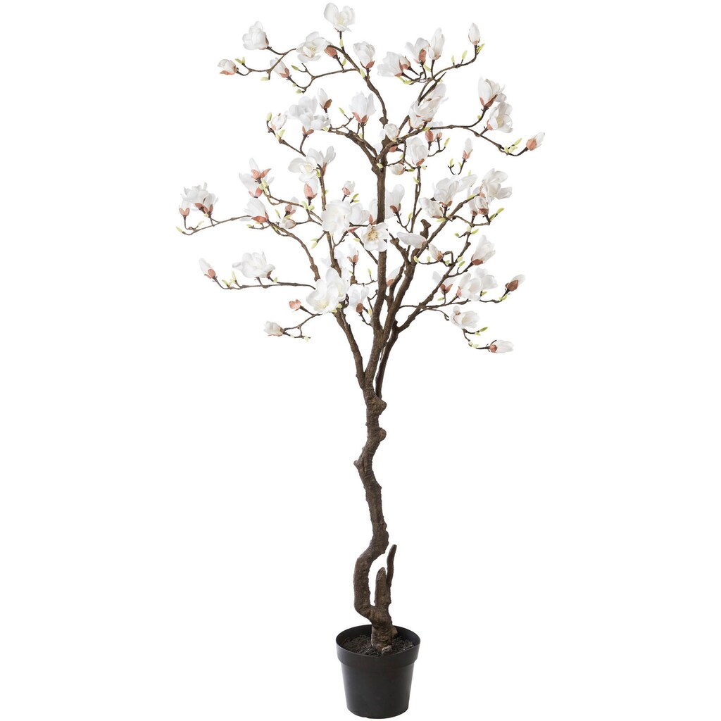 Creativ green Kunstpflanze »Magnolienbaum«