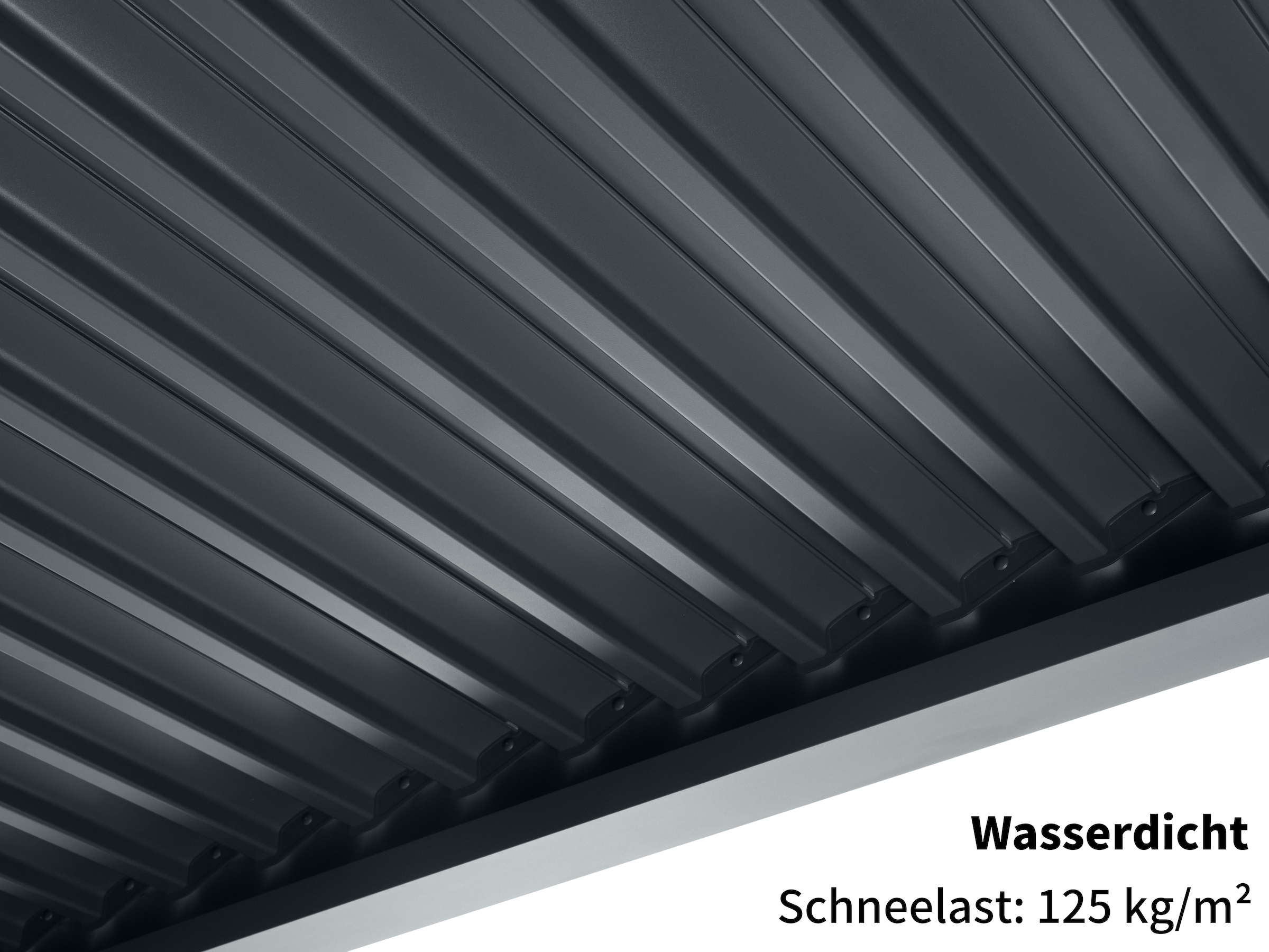 KONIFERA Pavillon »Lucida Premium«