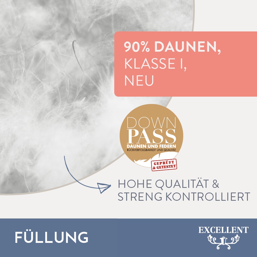 Excellent Daunenbettdecke »Überraschungsbox«, leicht, Füllung 90% Daunen, 10% Federn, Bezug Baumwolle, (1 St.), absoluter Sonderpreis, wegen Lagerräumung, Solange der Vorrat reicht