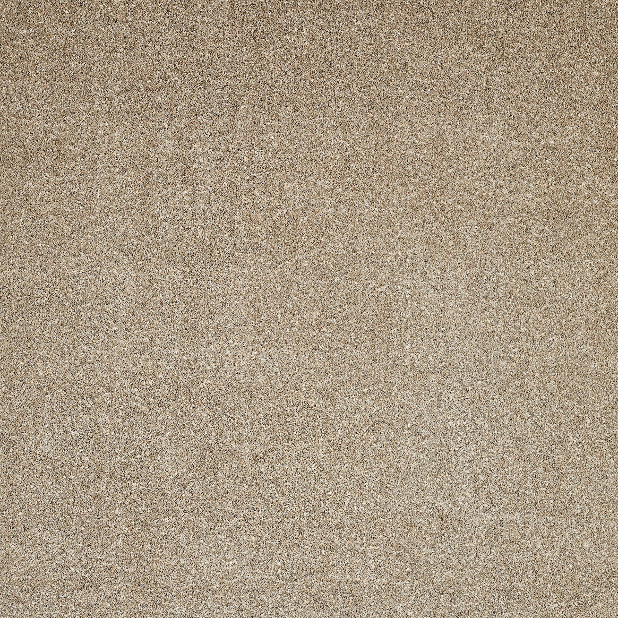 Andiamo Teppichboden »Portland, Velours, Made in Netherlands«, rechteckig, günstig online kaufen
