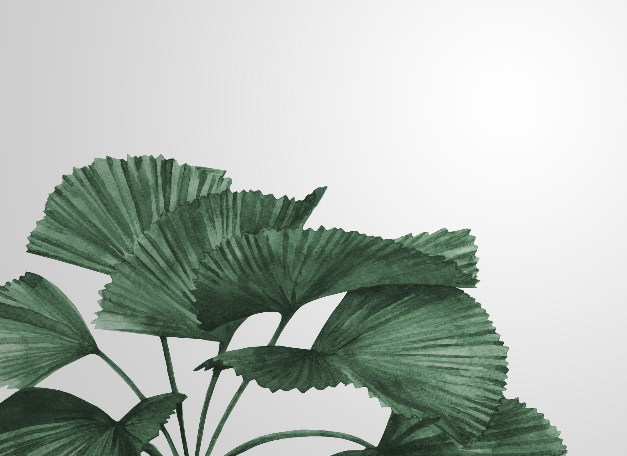 A.S. Création Vliestapete »Fototapete Fächerpalmen Aquarell Dunkelgrün« mat günstig online kaufen