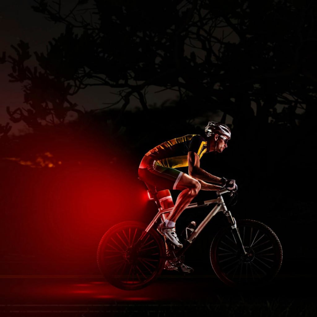 FISCHER Fahrrad Fahrradbeleuchtung »LED-Akku-Bel. Set PLUS 100/130 Fernlicht + TWIN STOP«, (Set, 2, Front- und Rücklicht inkl. Ladekabel)