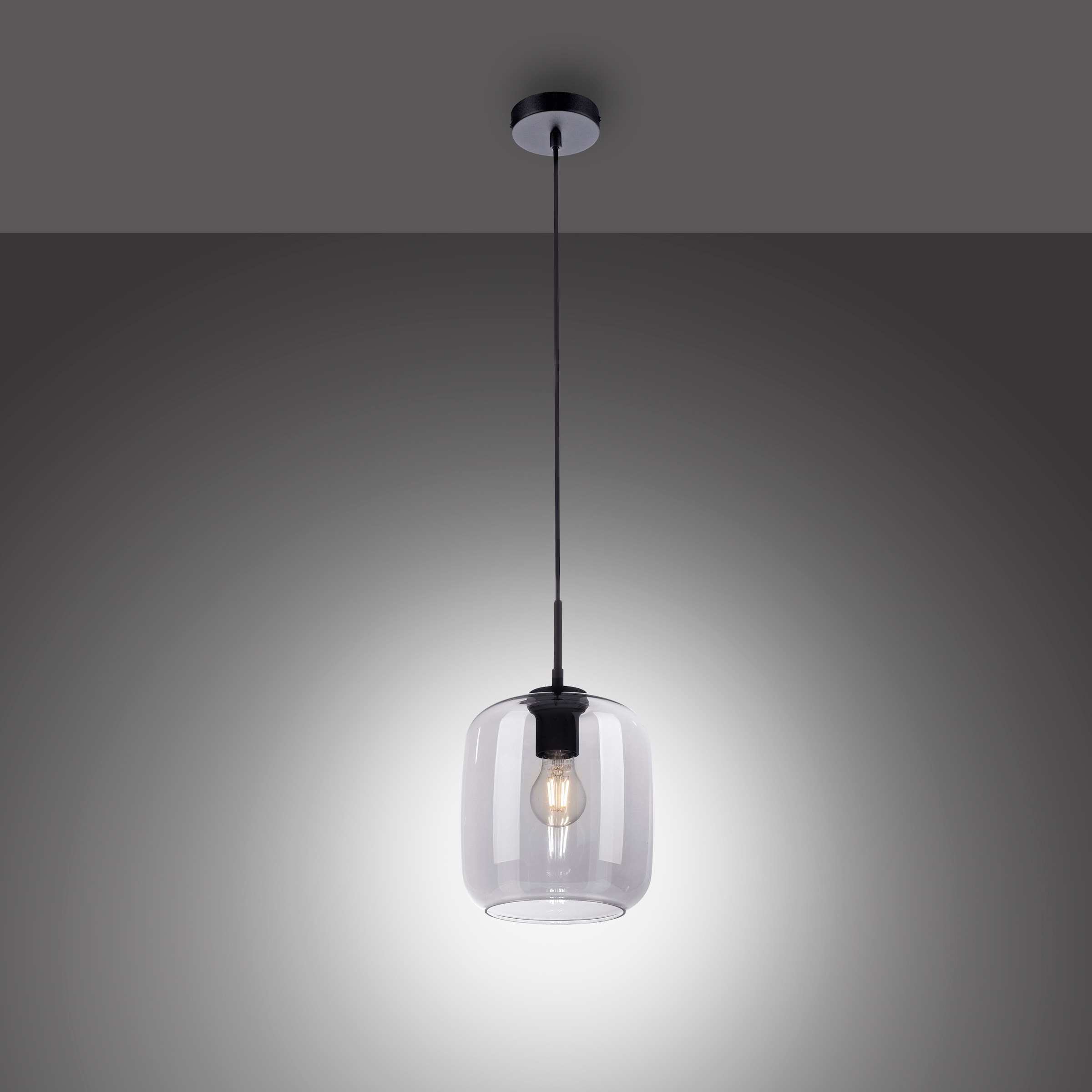 Paul Neuhaus Pendelleuchte »SHITAKE« E27 1 Stk. günstig online kaufen