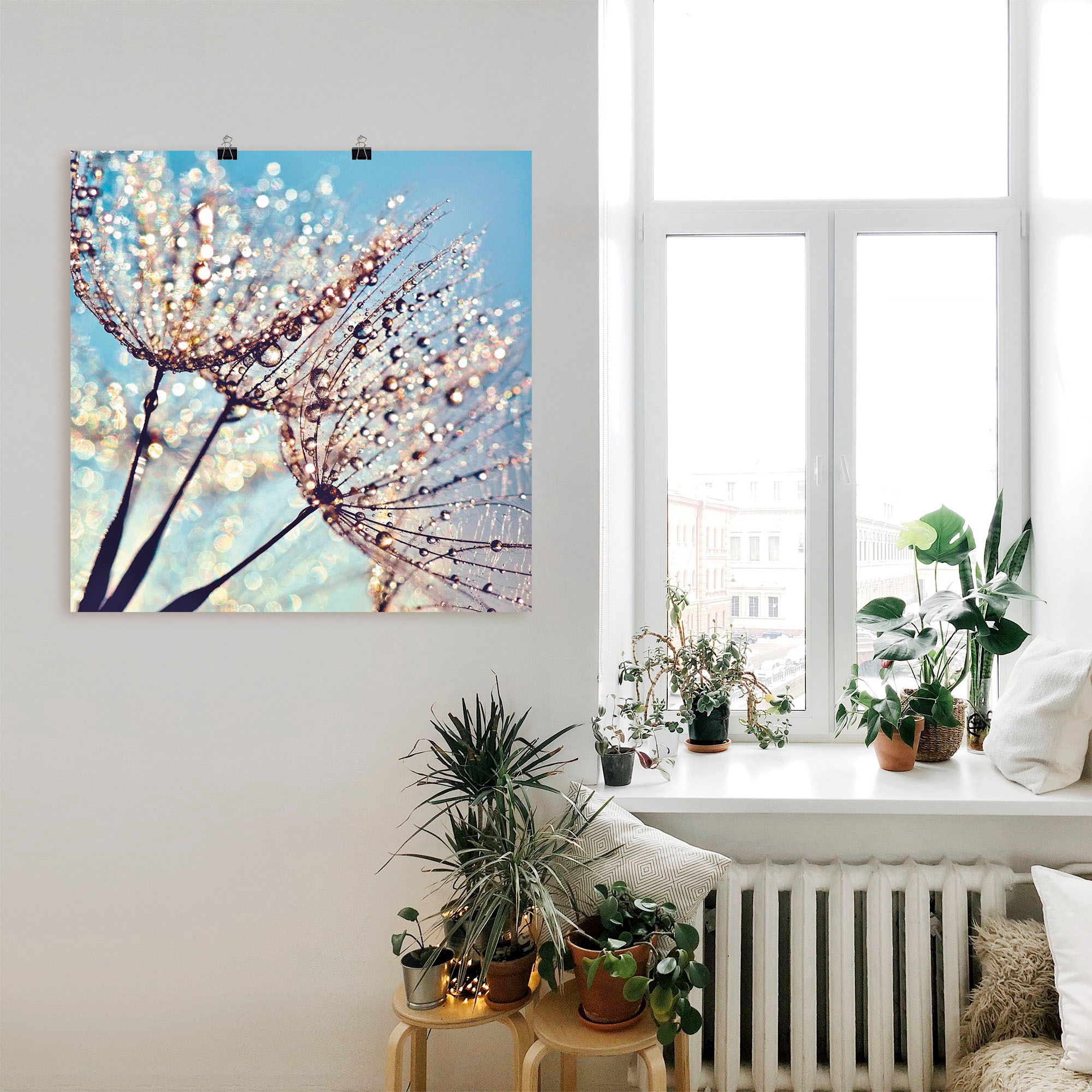 Artland Wandbild »Pusteblume Tröpfchenfänger«, Blumen, (1 St.), als Alubild, Outdoorbild, Leinwandbild, Poster in verschied. Größen