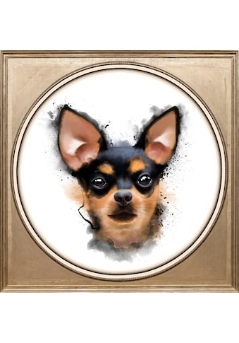 queence Acrylglasbild »Hund« kaufen