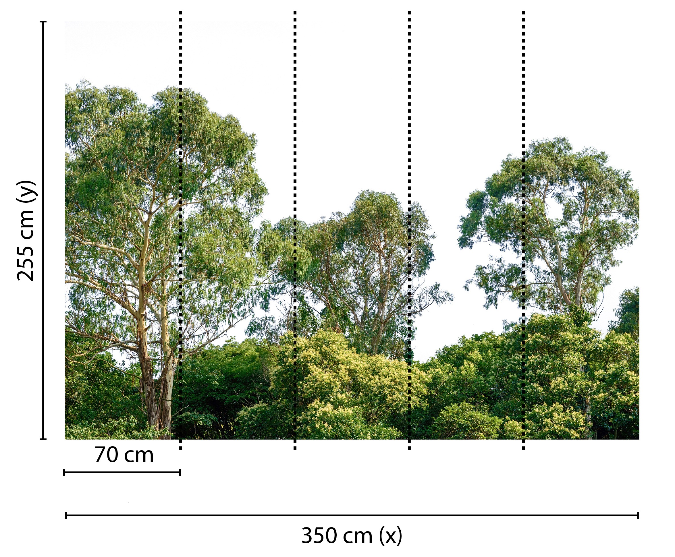 living walls Fototapete »Designwalls Treetop«, Vlies, Wand, Schräge, Decke