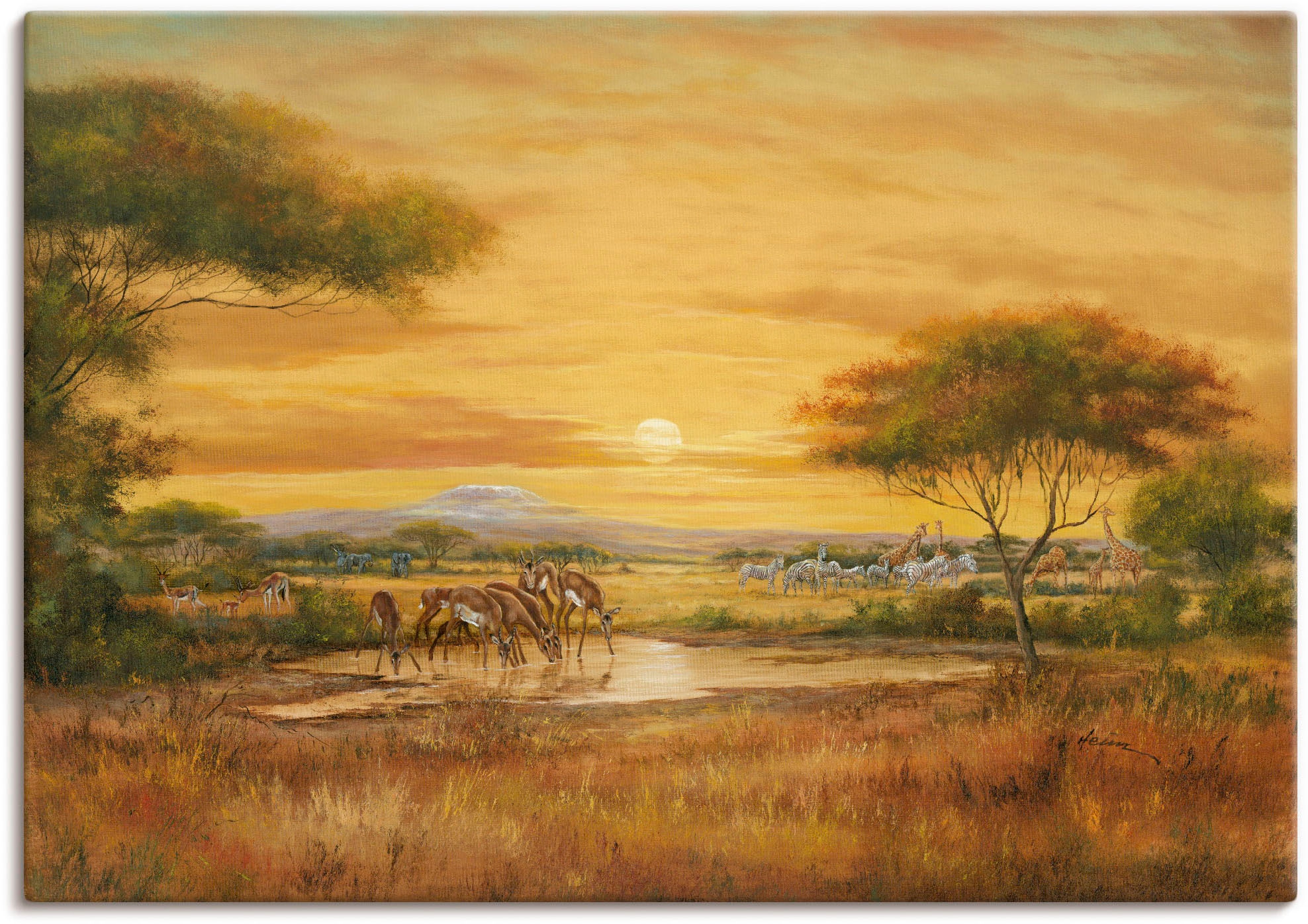 Artland Wandbild »Afrikanische Steppe« Wildtiere 1 Stk. tlg. als Alubild, O günstig online kaufen