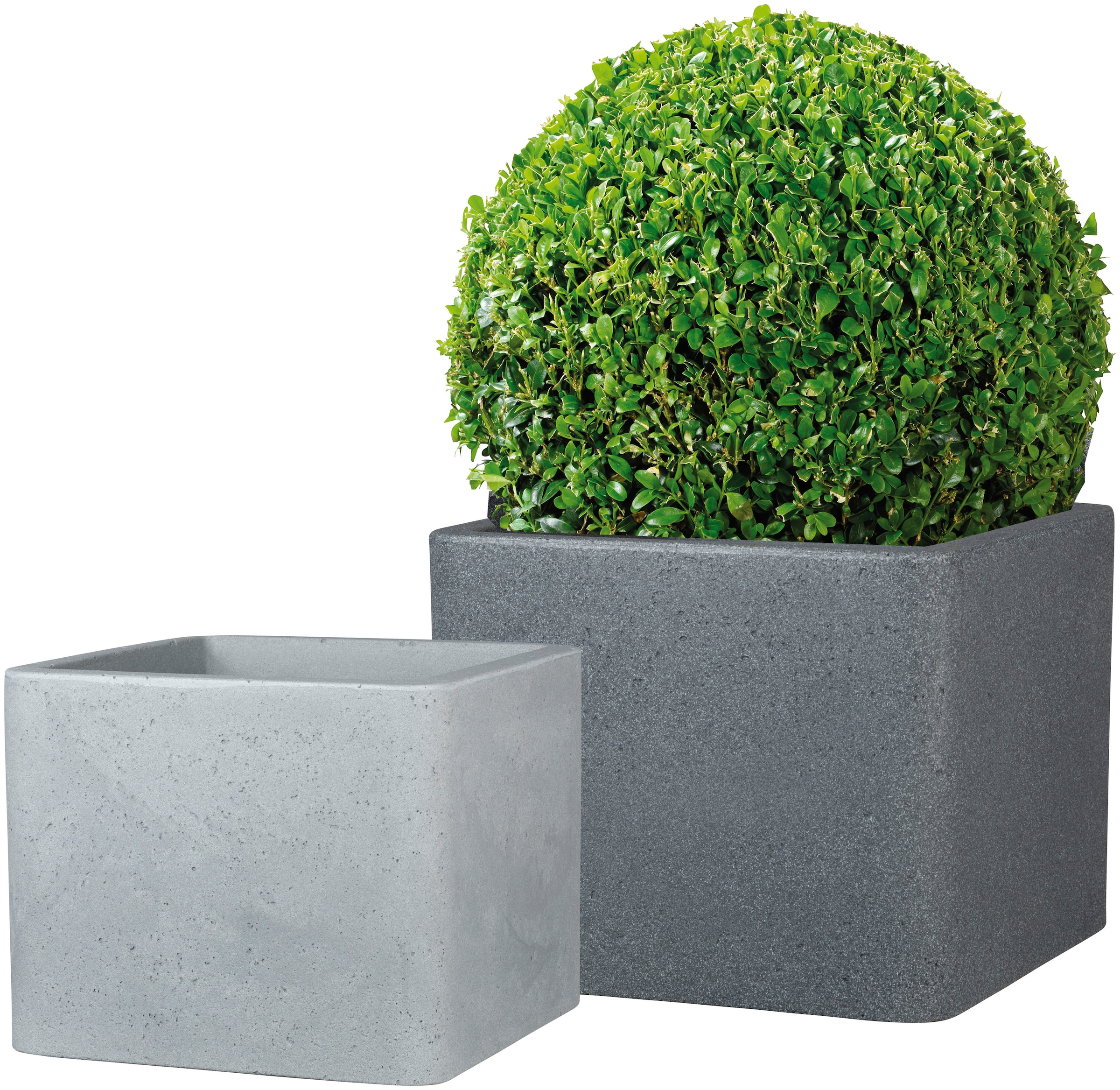 Scheurich Blumentopf »40/140 ALEA UET«