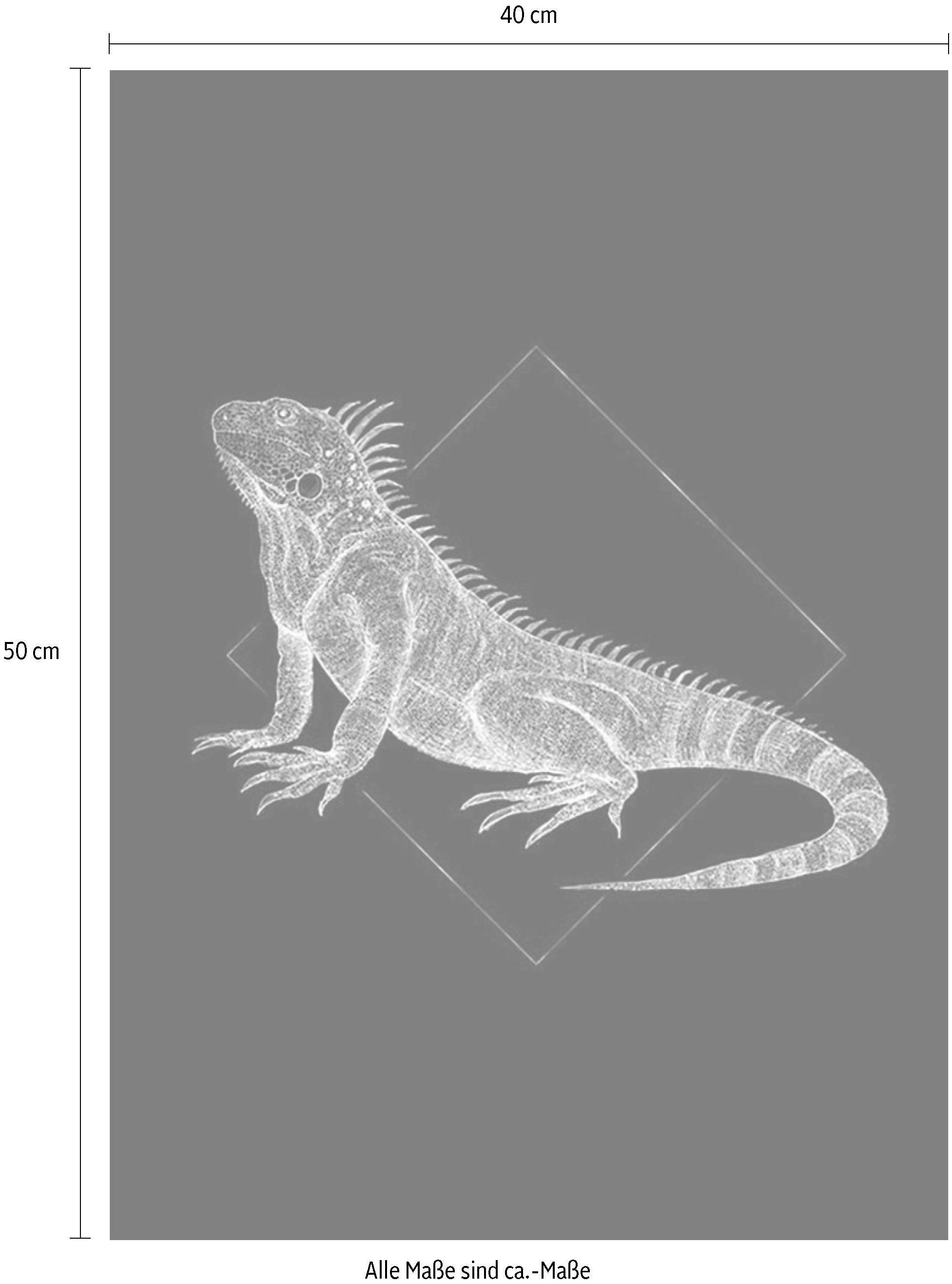 Komar Bild »Iguana Black«, Tiere, (1 St.), Wandbild zur Dekoration - ohne Rahmen