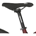 FISCHER Fahrrad E-Bike »MONTIS 7.0I 630«, 12 Gang, SRAM, SX 11-50, Mittelmotor 250 W, (mit Bedienungsanleitung-mit Akku-Schlüssel-mit Akku-Ladegerät-mit Beleuchtungsset-mit Schloss-mit Werkzeug)