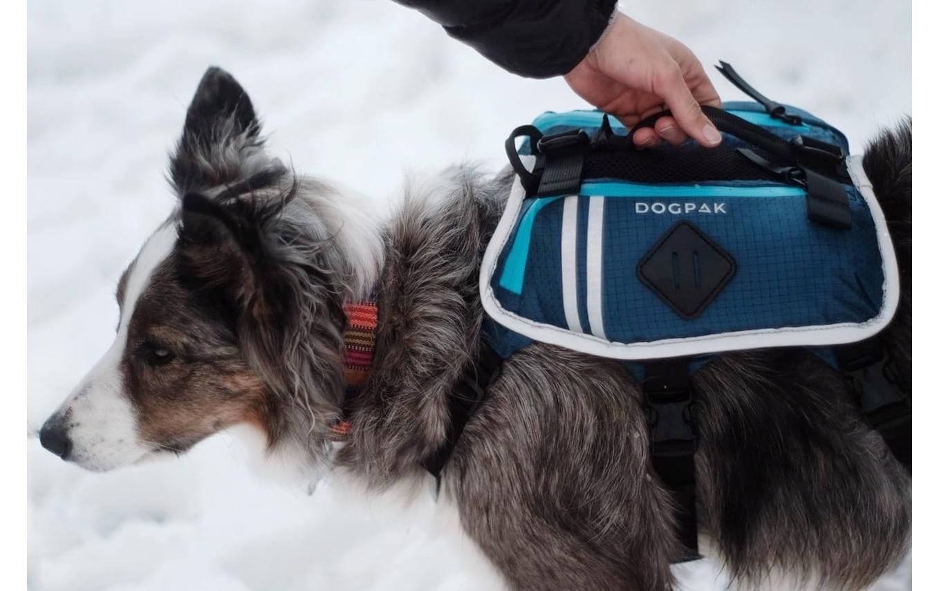   Hunde-Geschirr »DOGPAK Moab Lite Hunderucksack S« Rucksack und Wandergeschirr für Hunde aus «Die Höhle der Löwen»