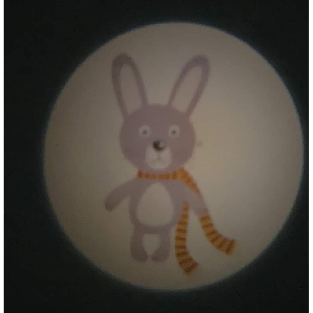 niermann LED Nachtlicht »Waldtiere«, 1 flammig-flammig, Set Waldtiere 1 (1 x Stecker-Nachtlicht, 1 x Taschenprojektor)