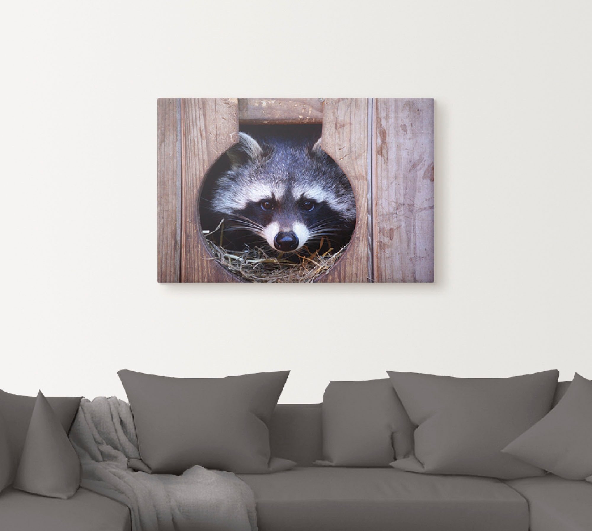 Artland Wandbild »Niedlicher kleiner Waschbär«, Wildtiere, (1 St.), als Leinwandbild, Wandaufkleber in verschied. Größen