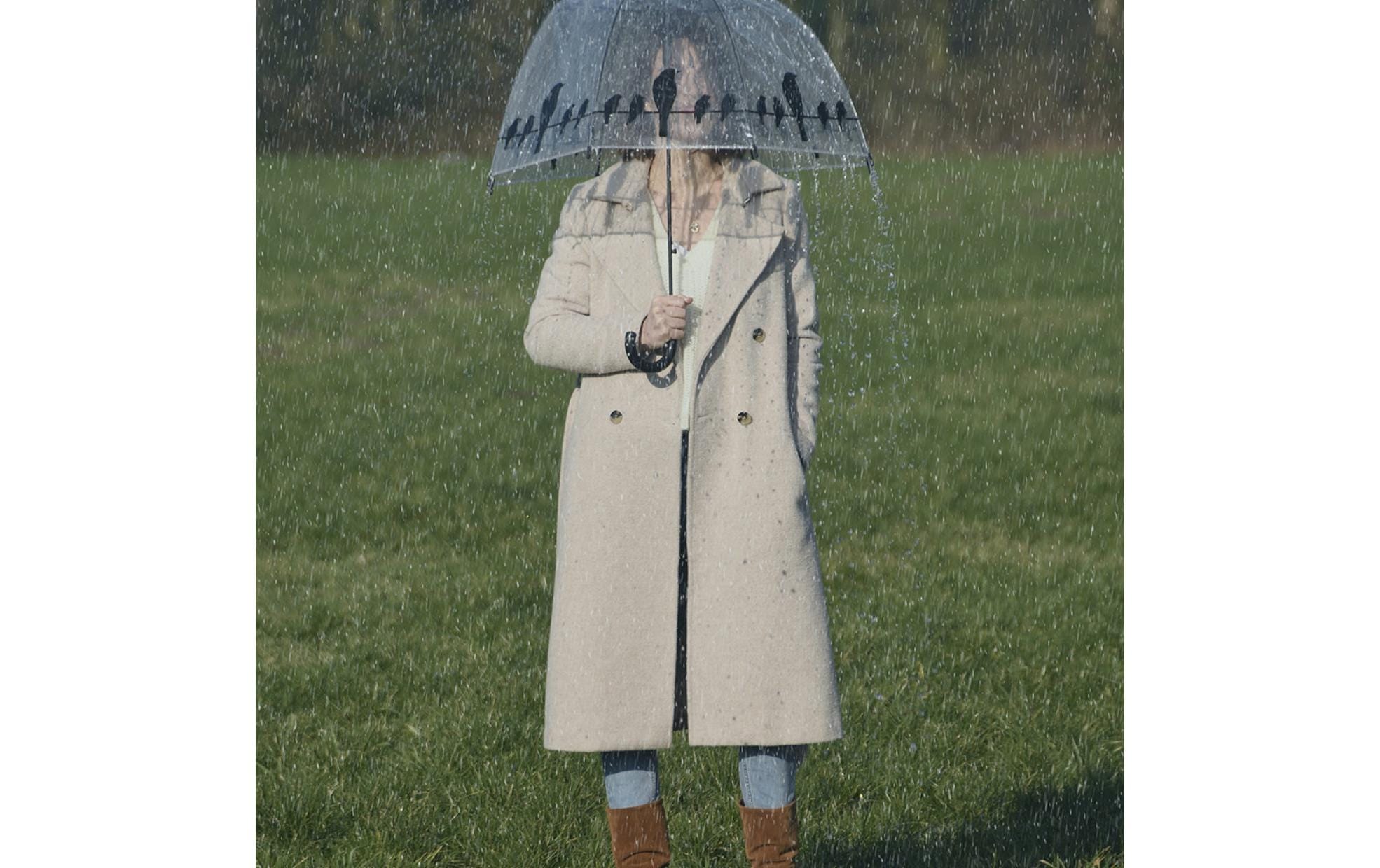 esschert design Stockregenschirm »Vögel«