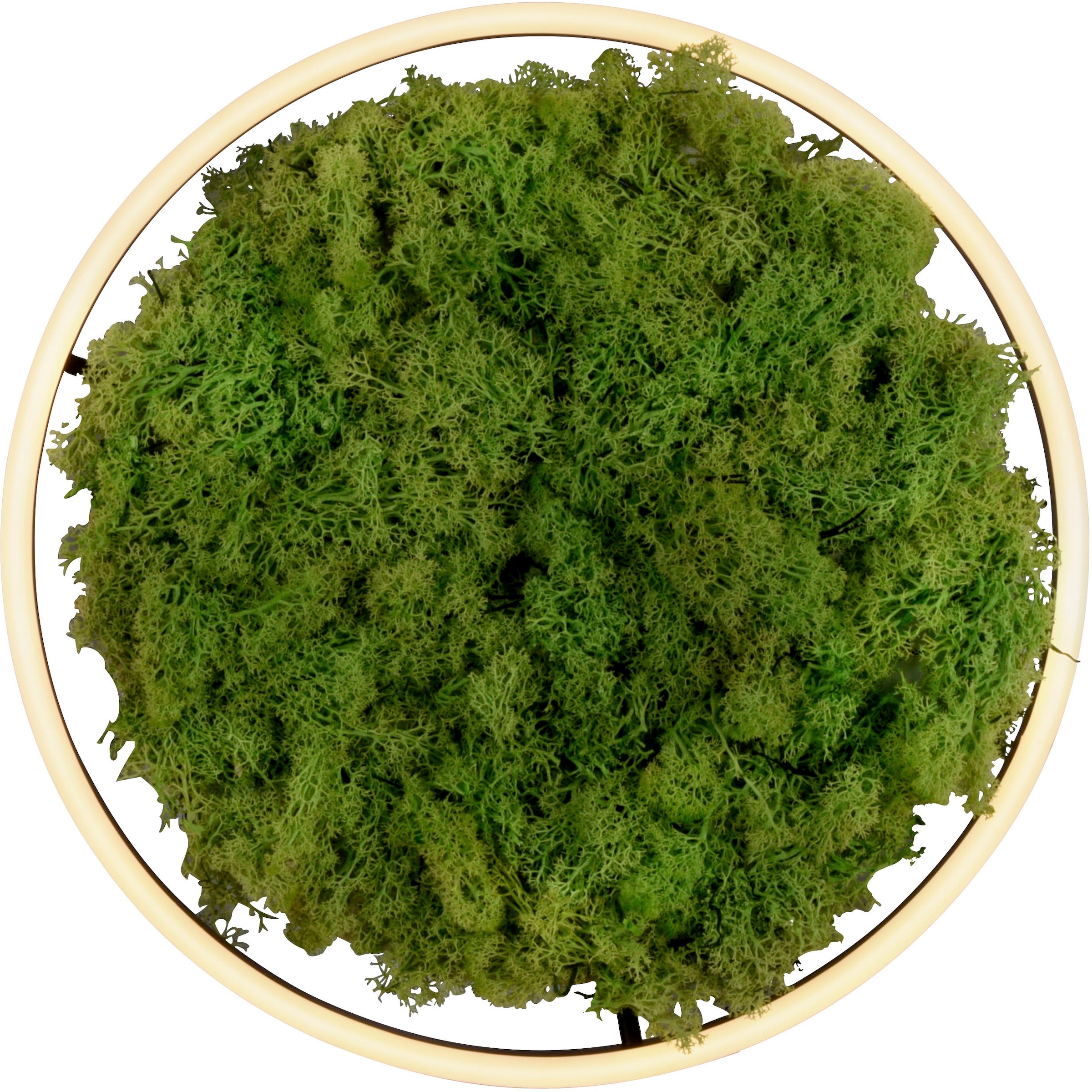 JUST LIGHT Deckenleuchte »GREEN RITU«, 1 flammig, Leuchtmittel LED-Board | LED fest integriert