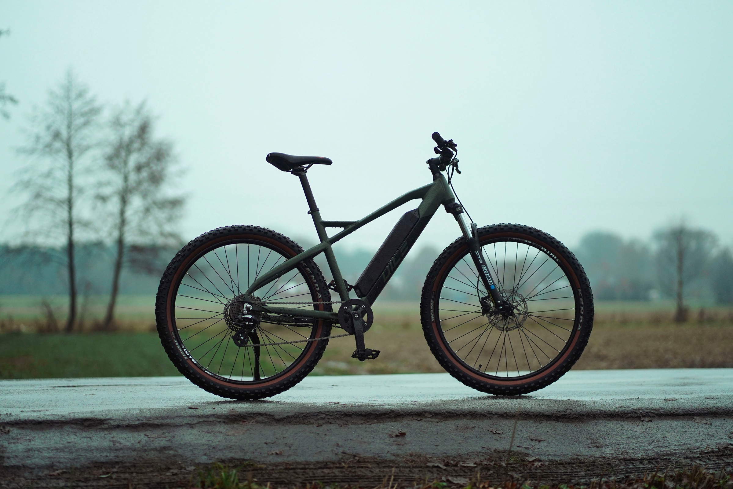 Prophete E-Bike »DICE 1.0«, 8 Gang, Shimano, Altus, Heckmotor 250 W