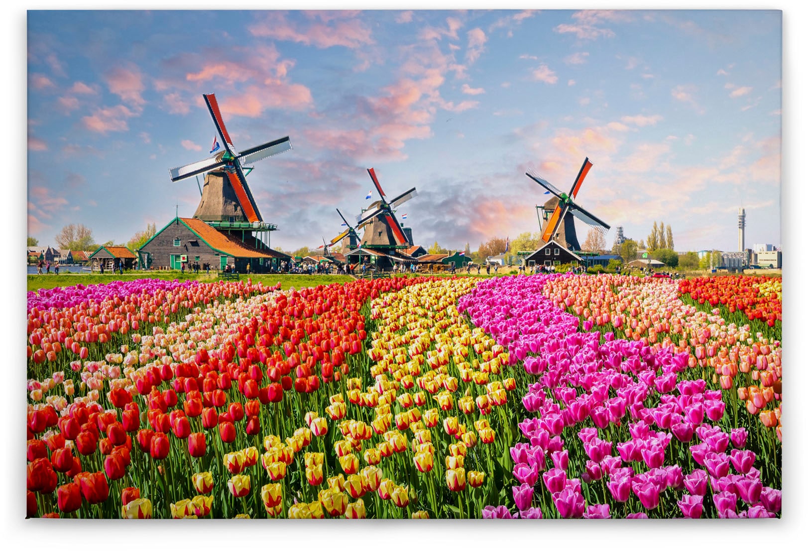 Bricoflor Leinwandbild Mit Tulpen Keilrahmen Bild Mit Windmühlen Ideal Für günstig online kaufen